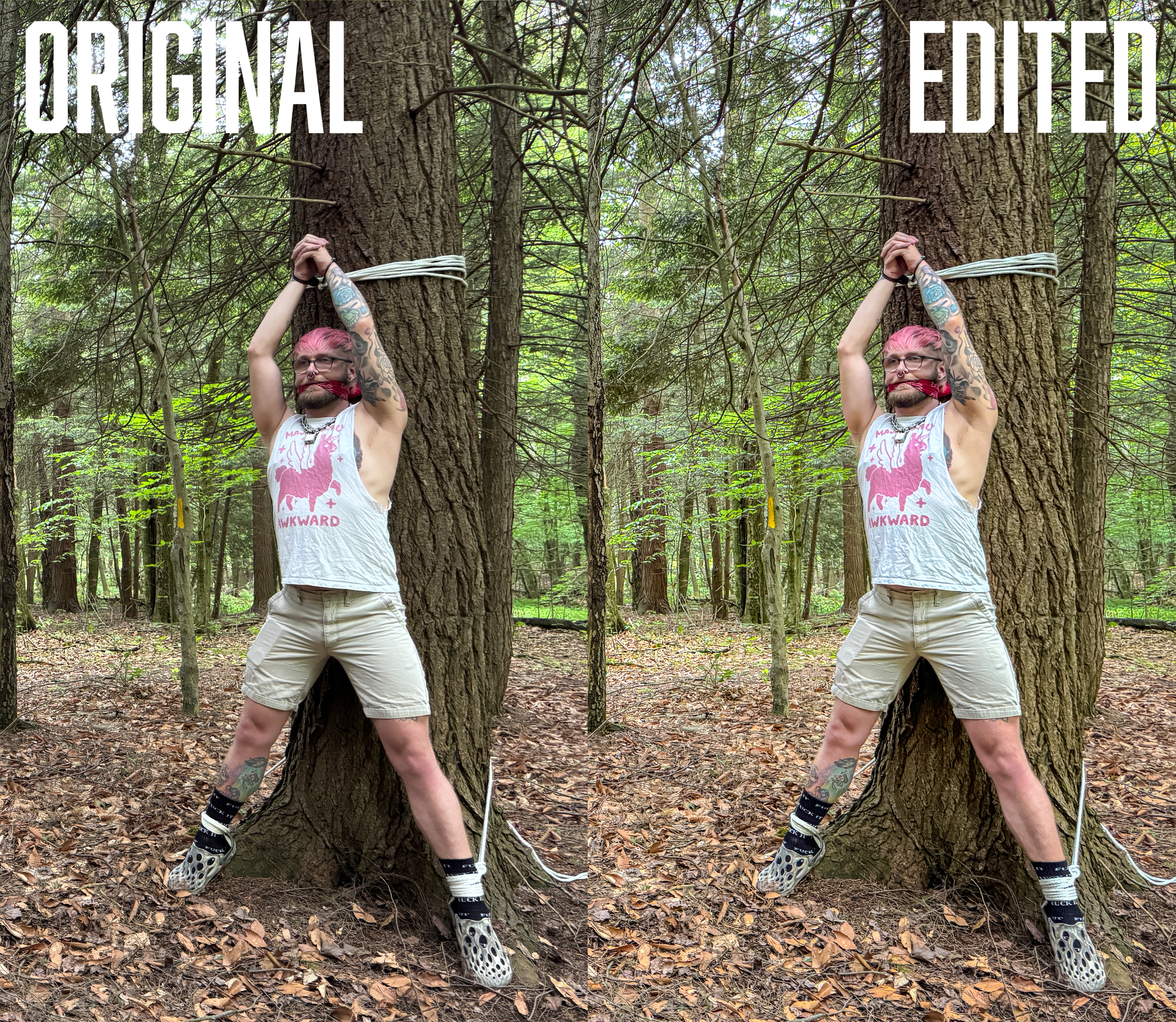 side by side smaller.png