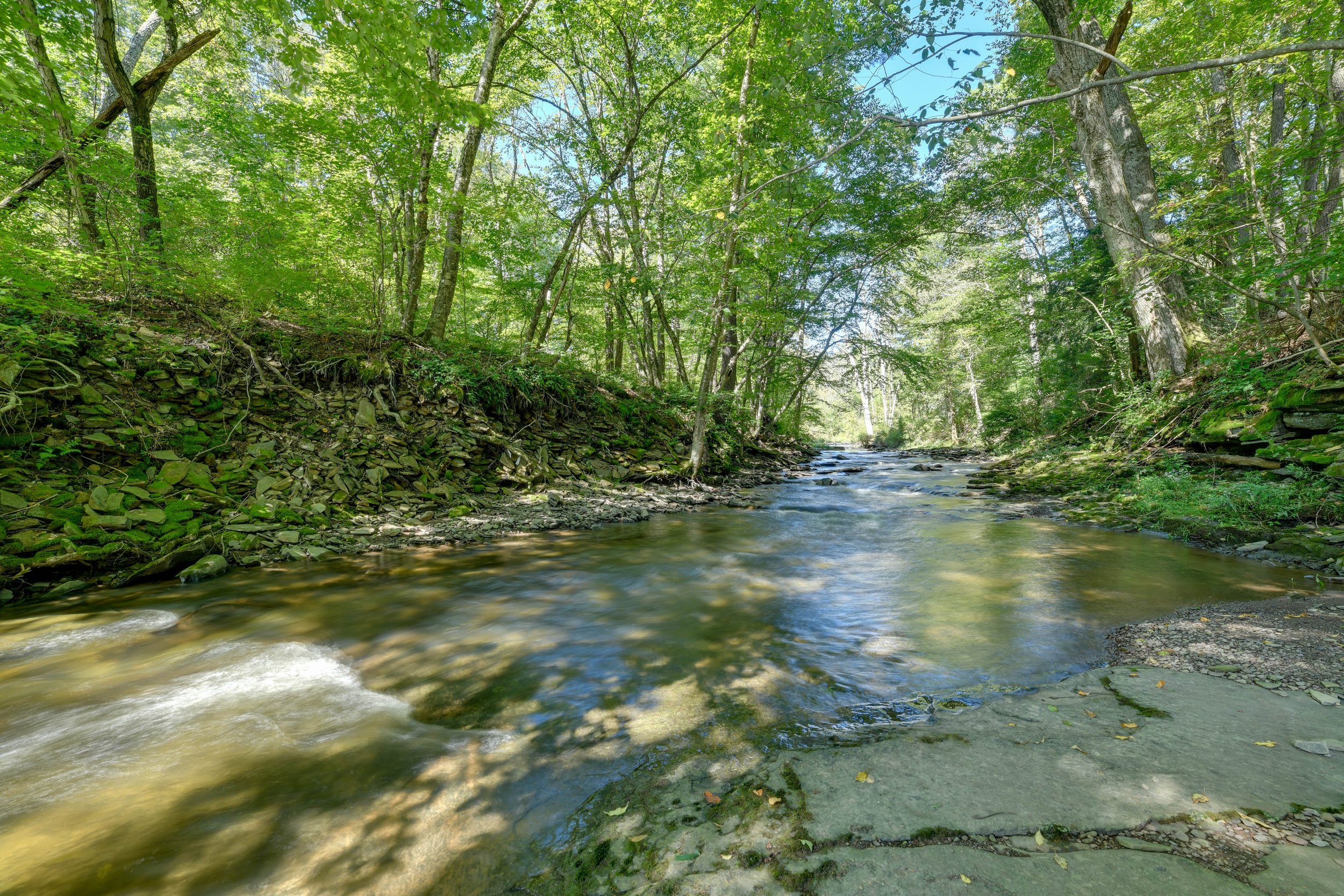 A small, rocky stream flowing through a lush green forest with tall trees and bright sunlight.