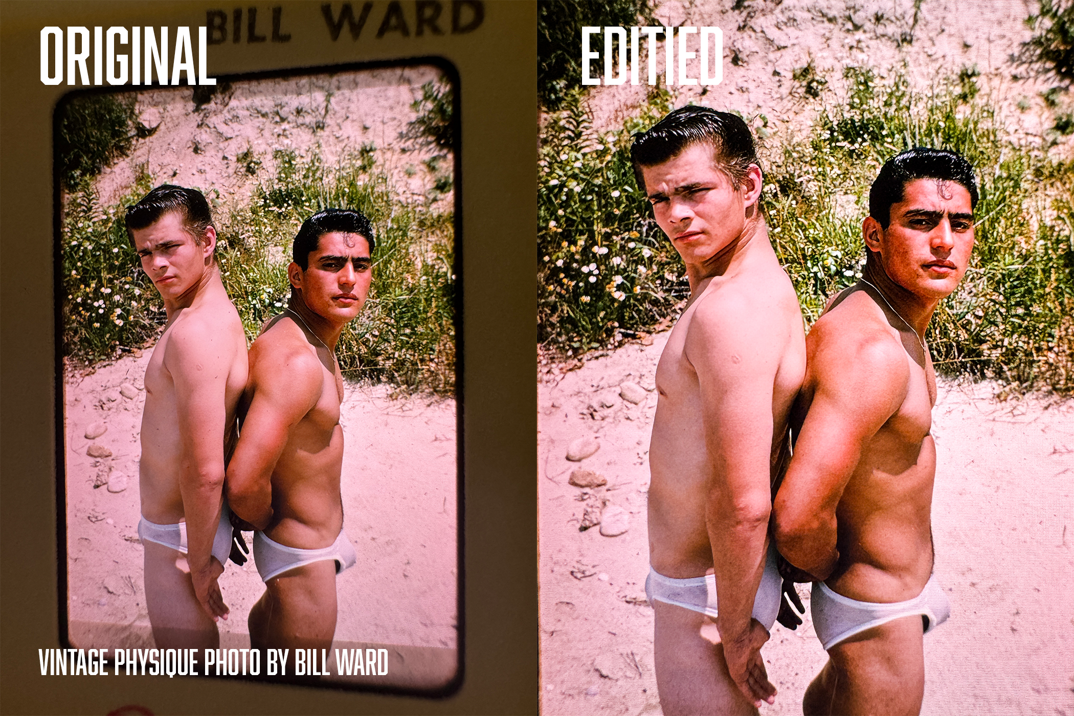 Bill Ward Beach Boys.png