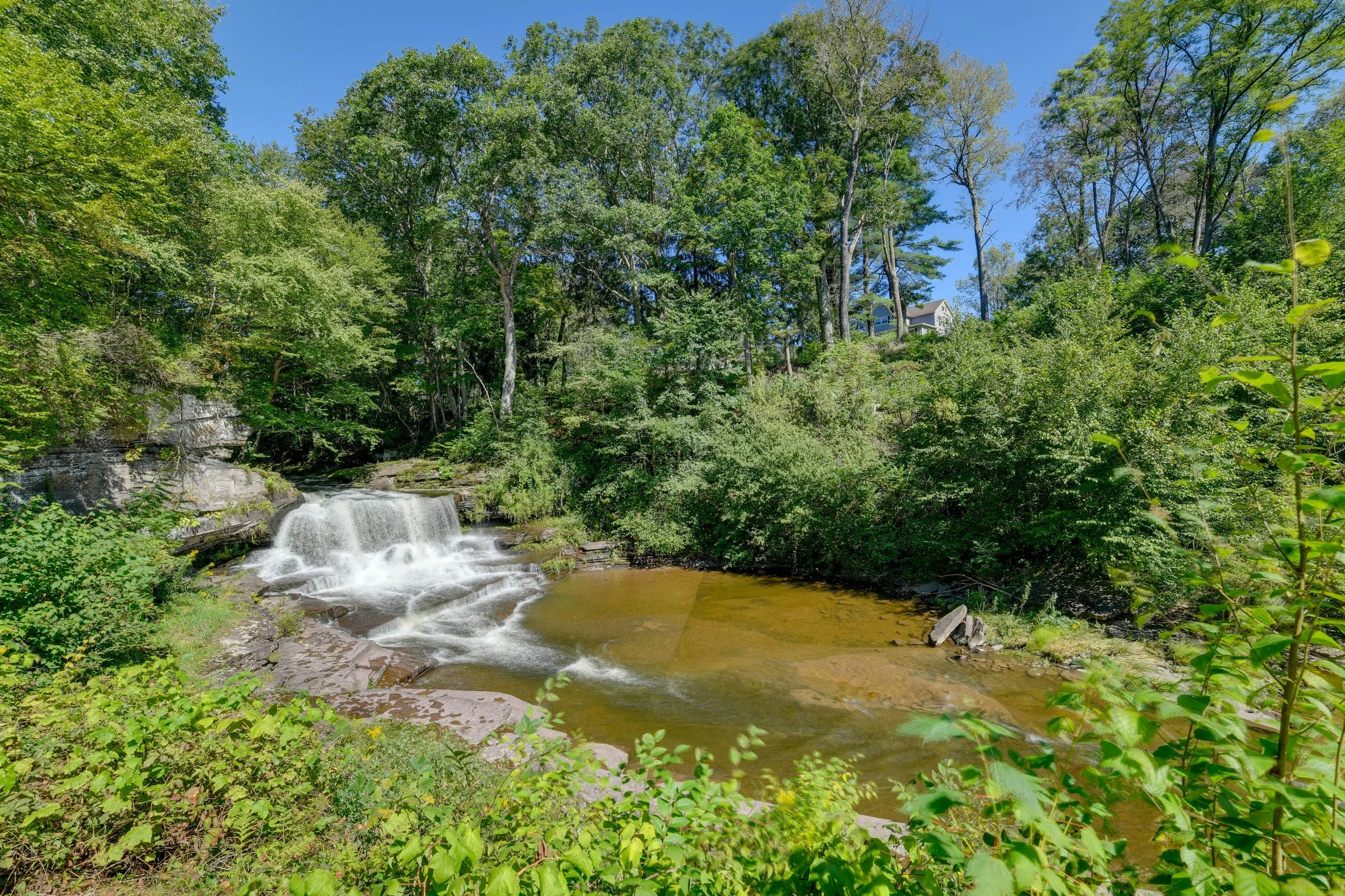 A small waterfall flowing into a creek surrounded by lush green trees on a bright sunny day.