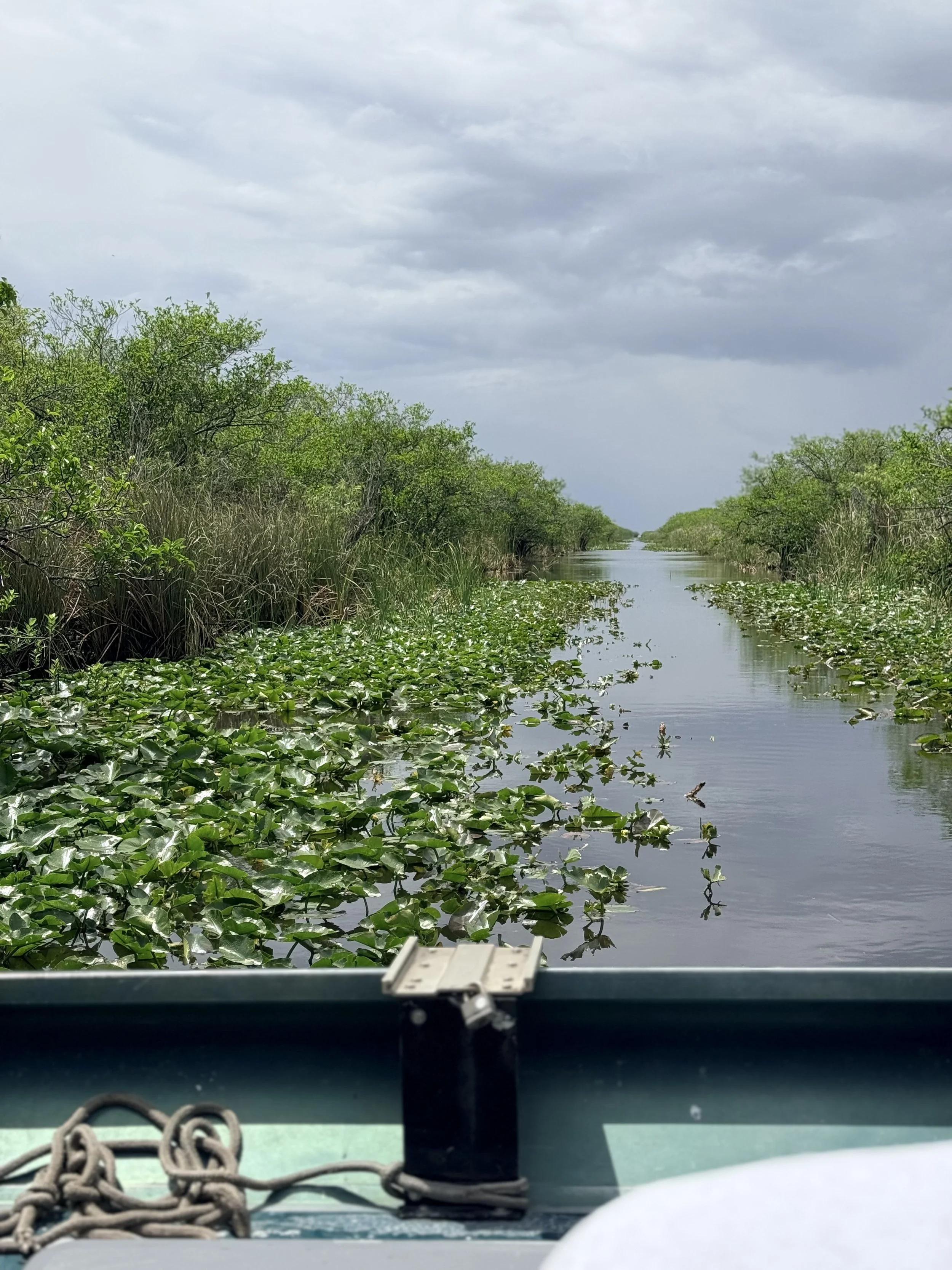 Alumni Activations This Week