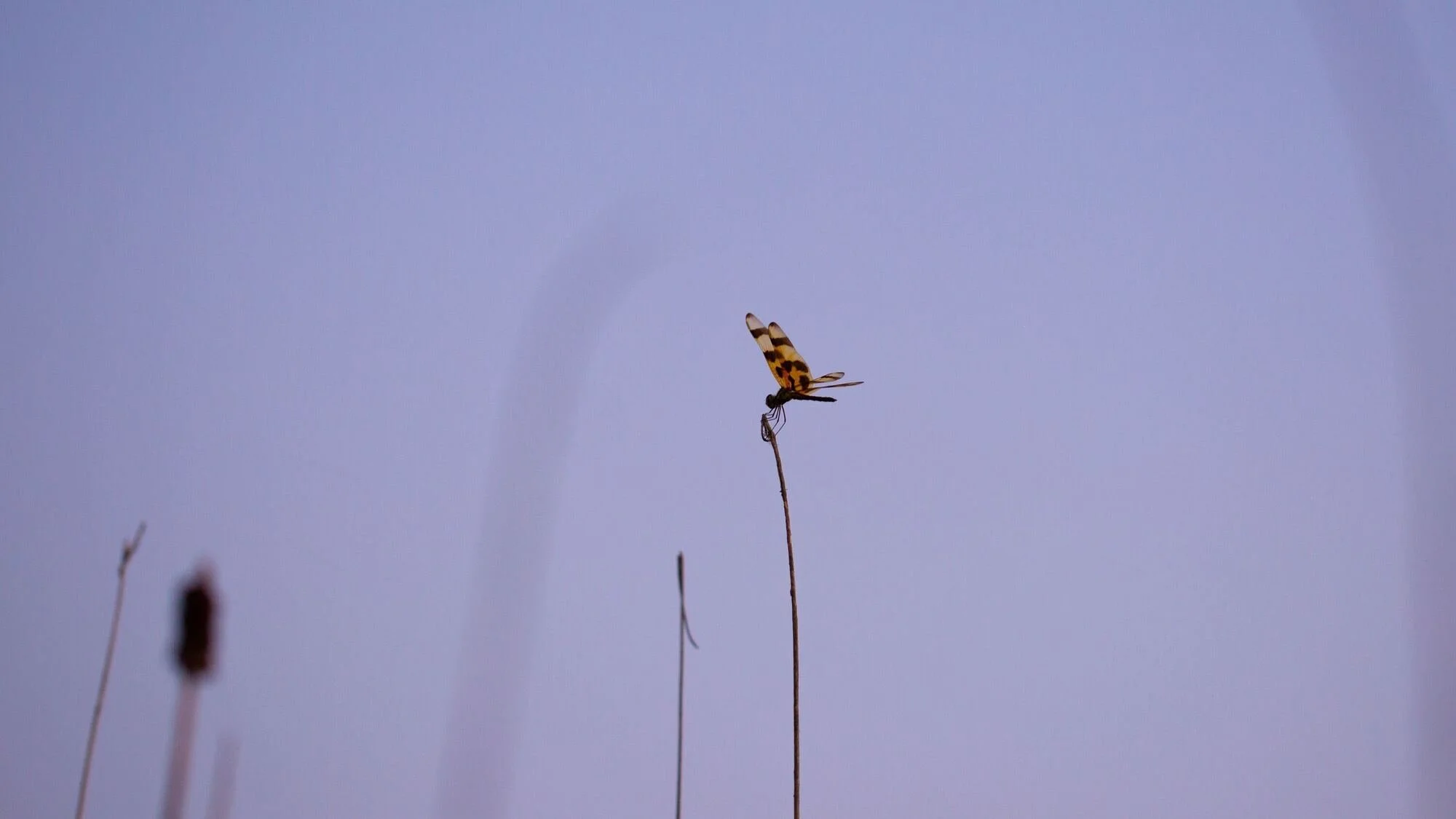 AIRIE Presents “Raised by Water, Held by Land” @ The Carter Project Miami