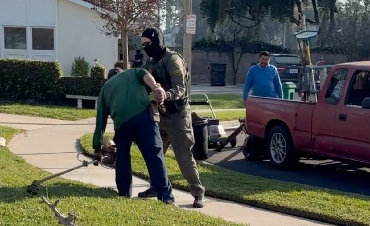 A gardener puts down his tools as masked Border Patrol officers take him in front of a home in Long Beach  while he was workingon Jan. 20, 2026. Photo from a video screenshot.