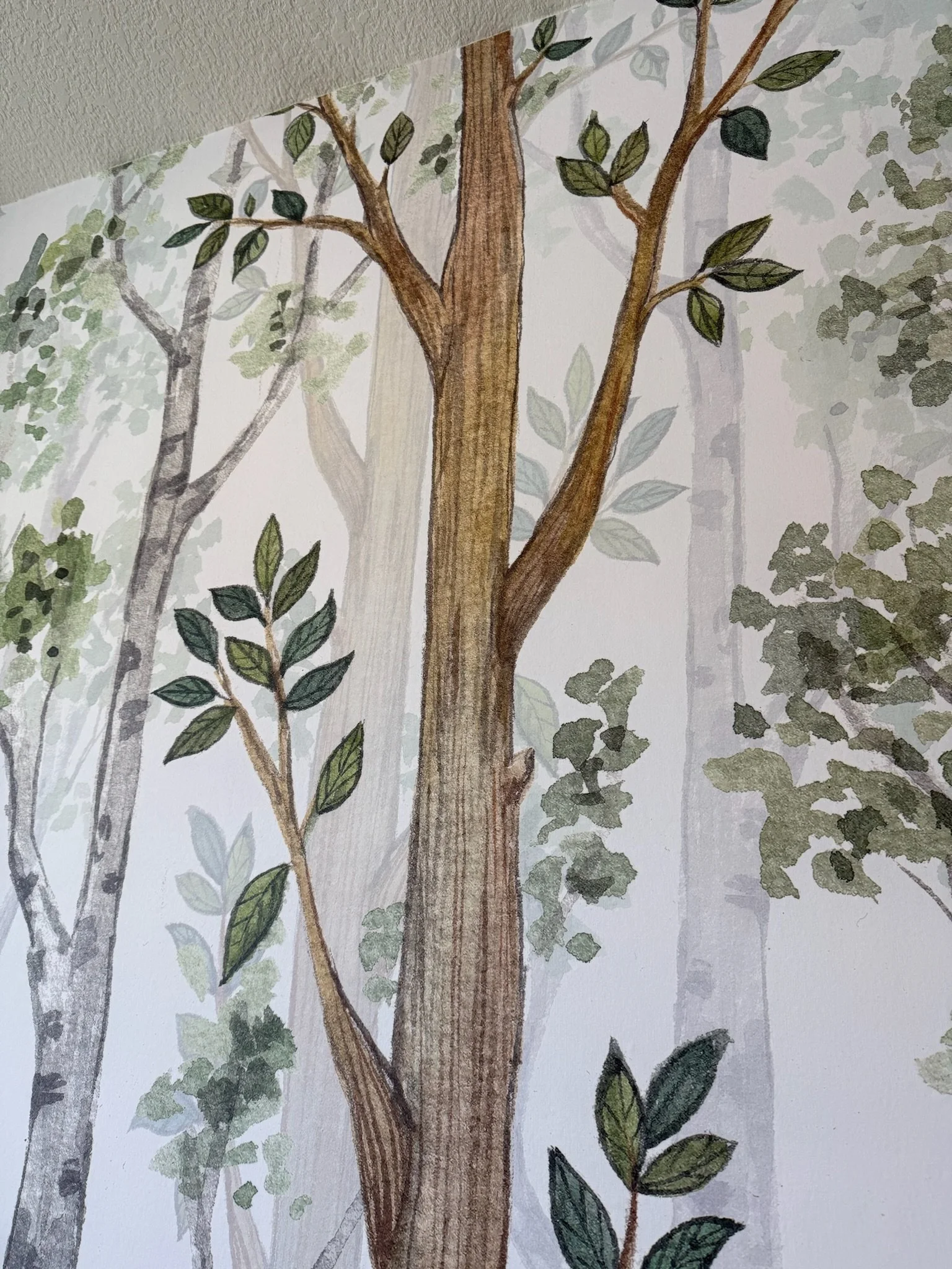 Illustration of a forest scene with tall trees and green leaves.