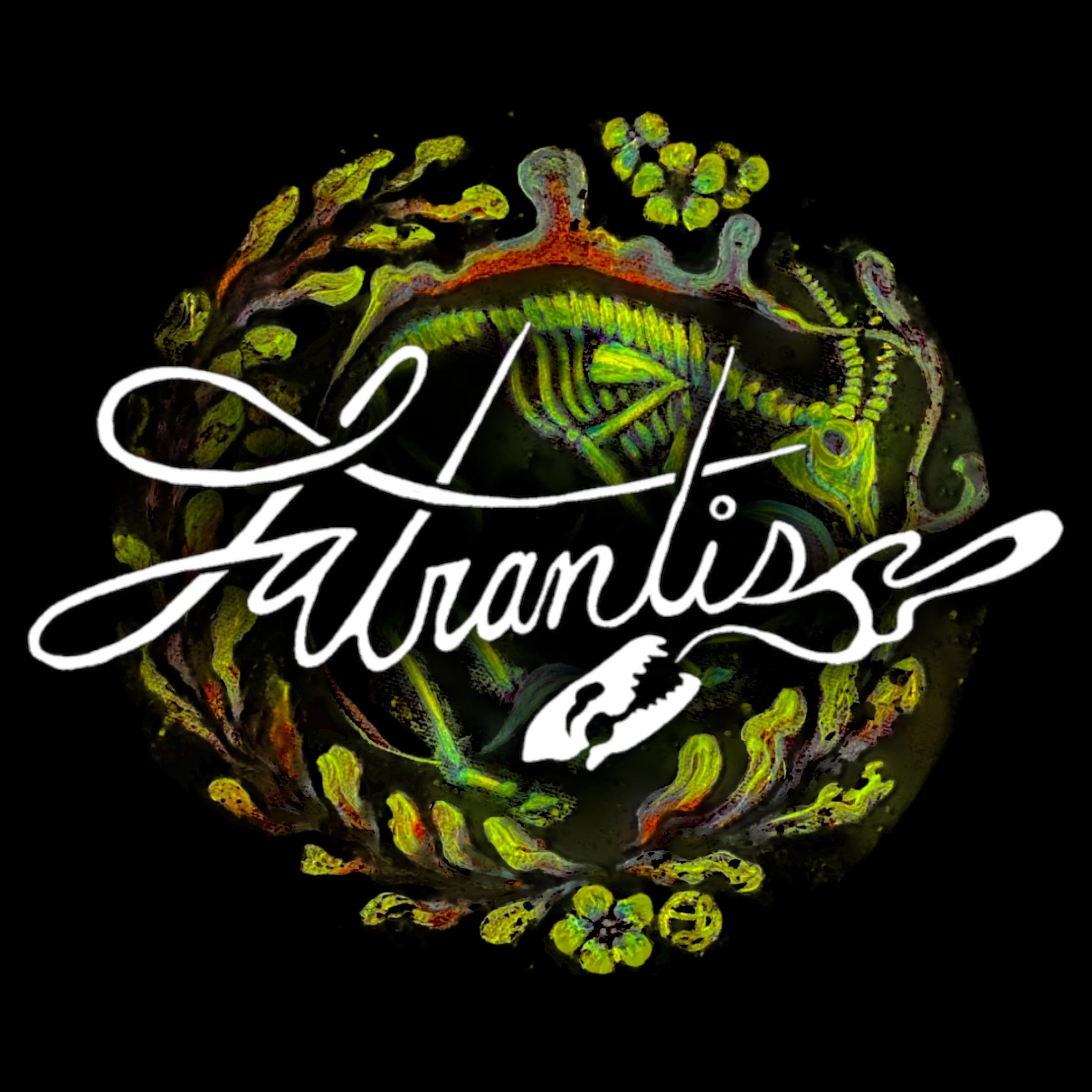 Photoroom_20240405_233938 - Latrantis Freelance.jpeg