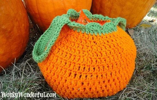 Beginner Crochet: Pumpkin Pouch - 10/25 @ 1pm