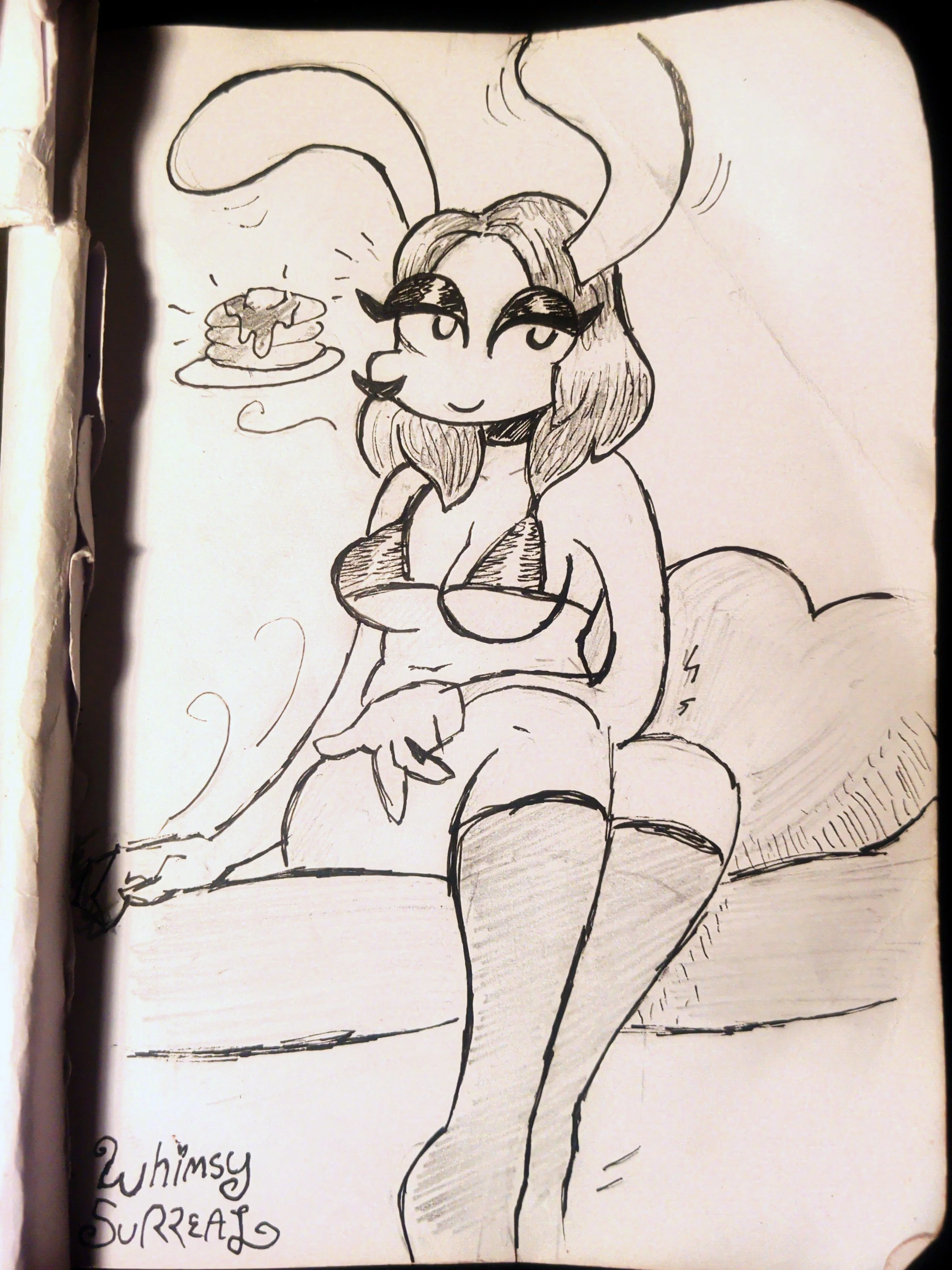 couchDrawing.jpg