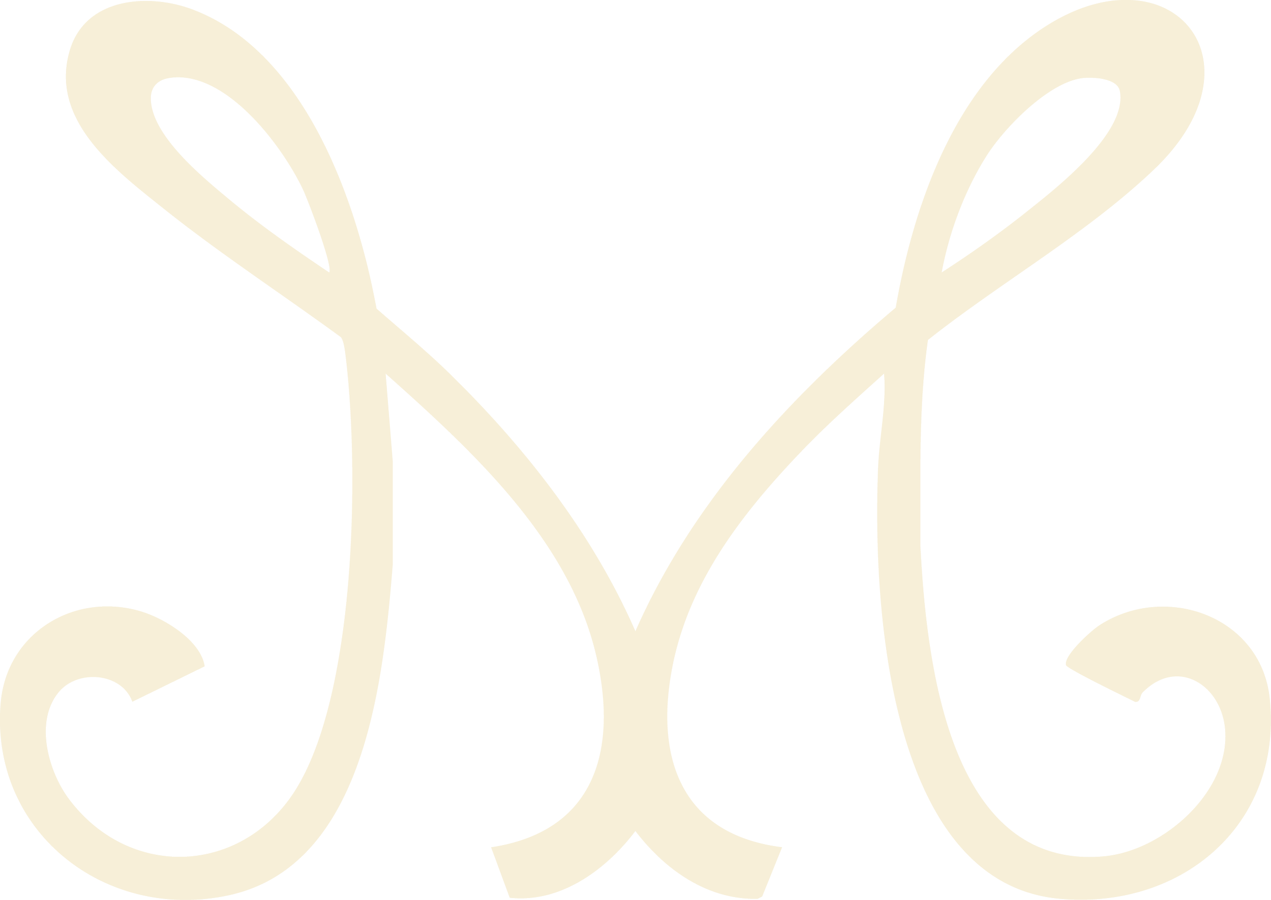 Stylized cream-colored butterfly with intricate swirls on a black background.