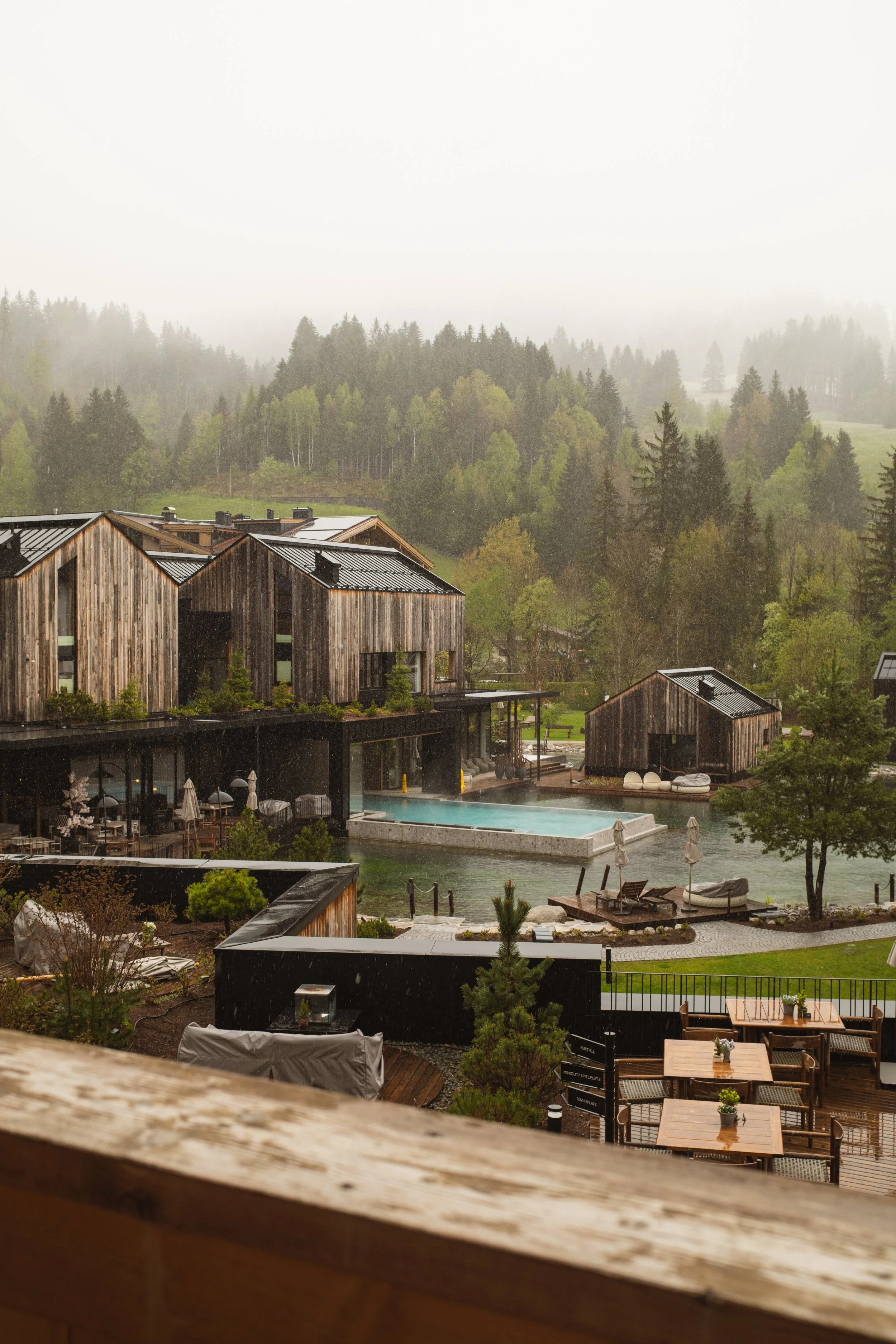 Photo Feb 02 2024, 02 39 48.jpg