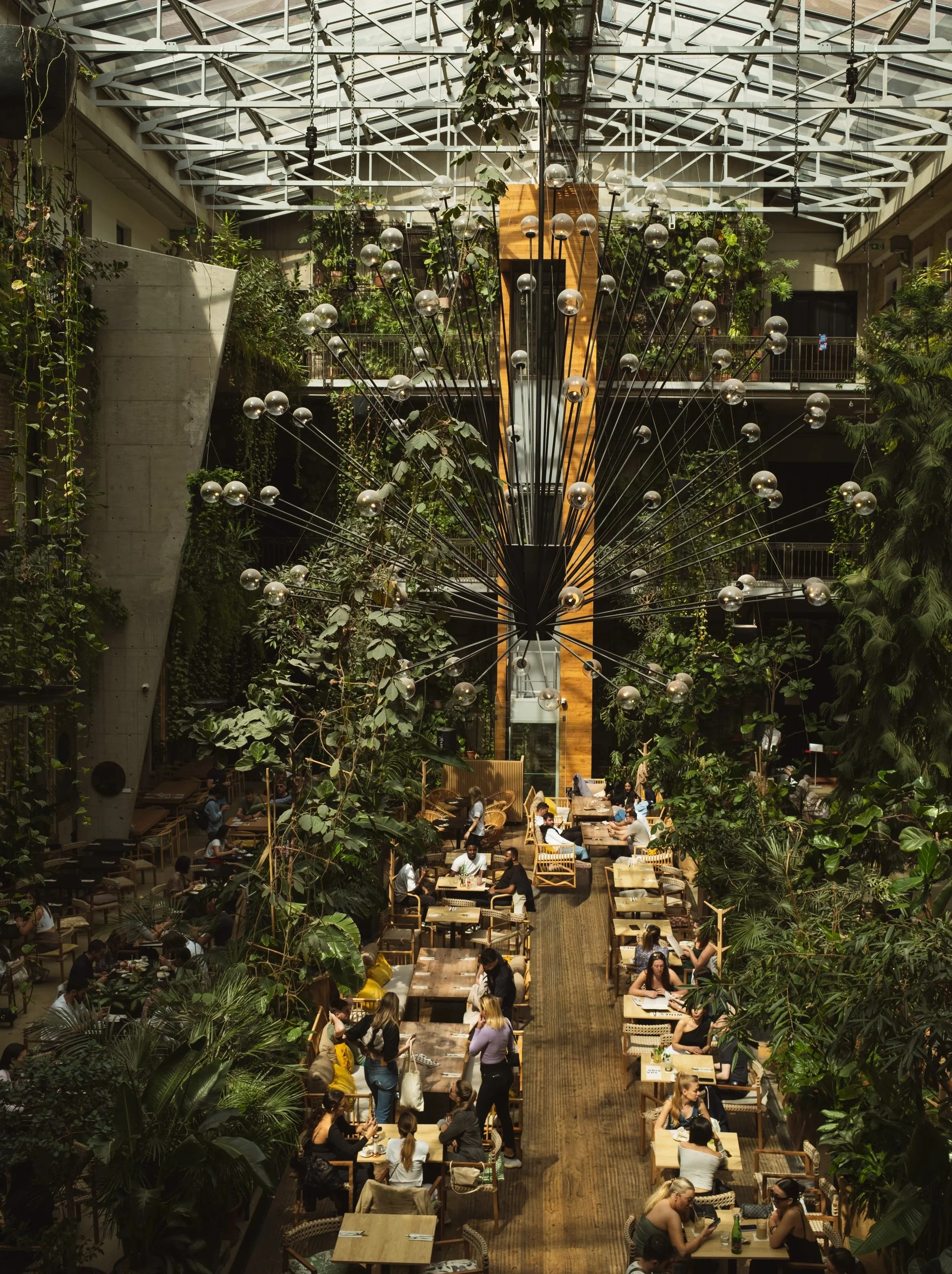 Indoor botanical garden or greenhouse with a large chandelier in the center, surrounded by tables and people dining, lush green plants and trees.