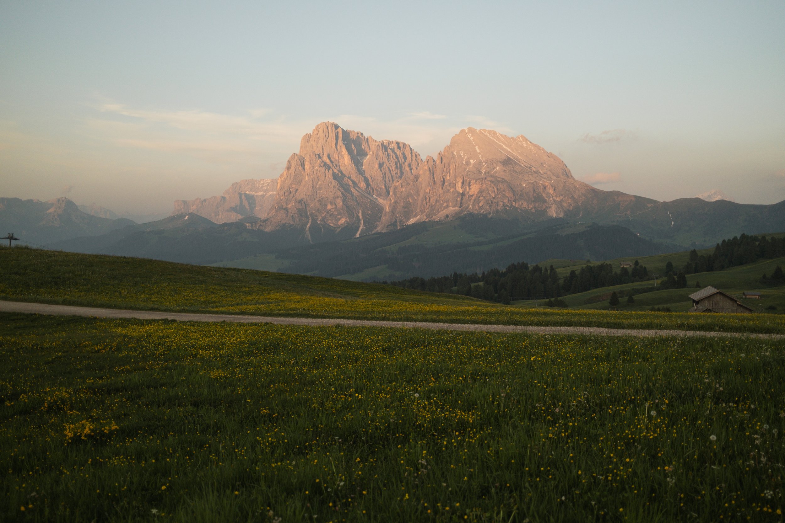 Mountain landscape with grassy field, yellow wildflowers, huts, and a large mountain range in the background, under a partly cloudy sky.
