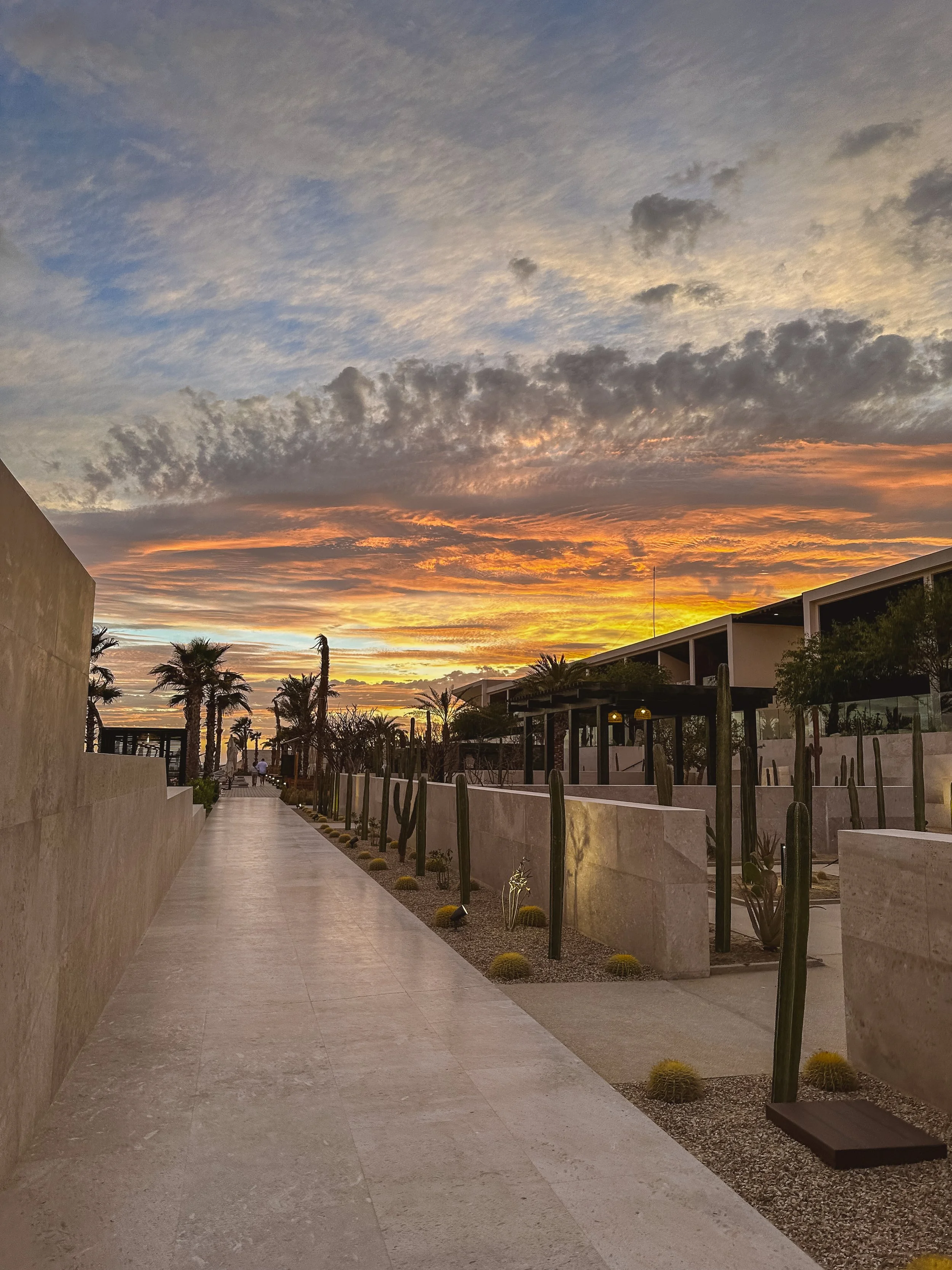 Photo May 19 2023, 18 58 48.jpg