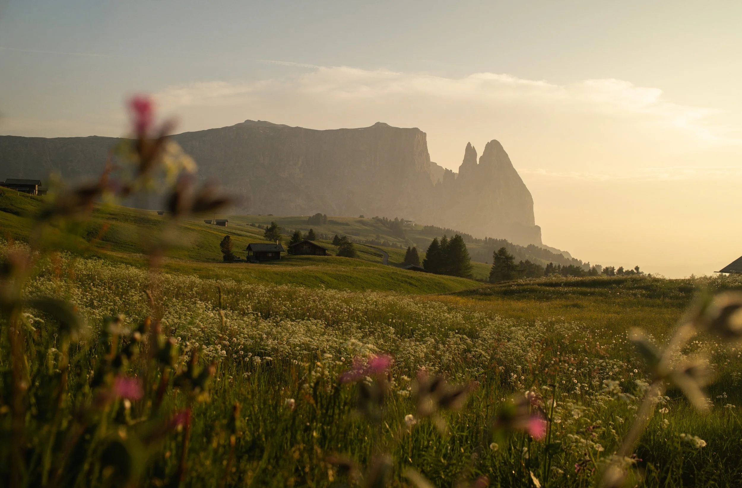 Photo Jun 13 2025, 11 23 22.jpg