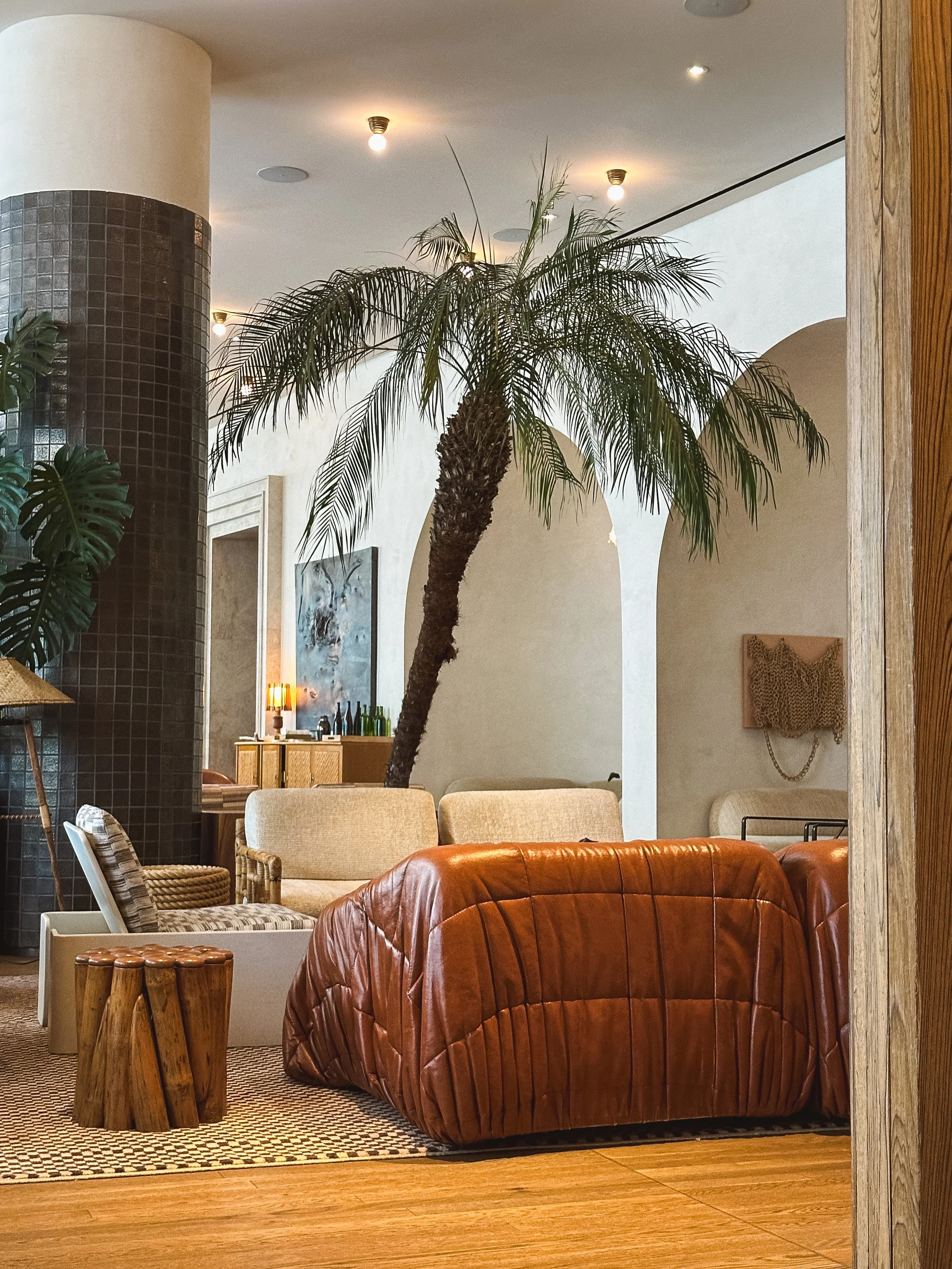 Photo Jul 27 2024, 10 08 03.jpg