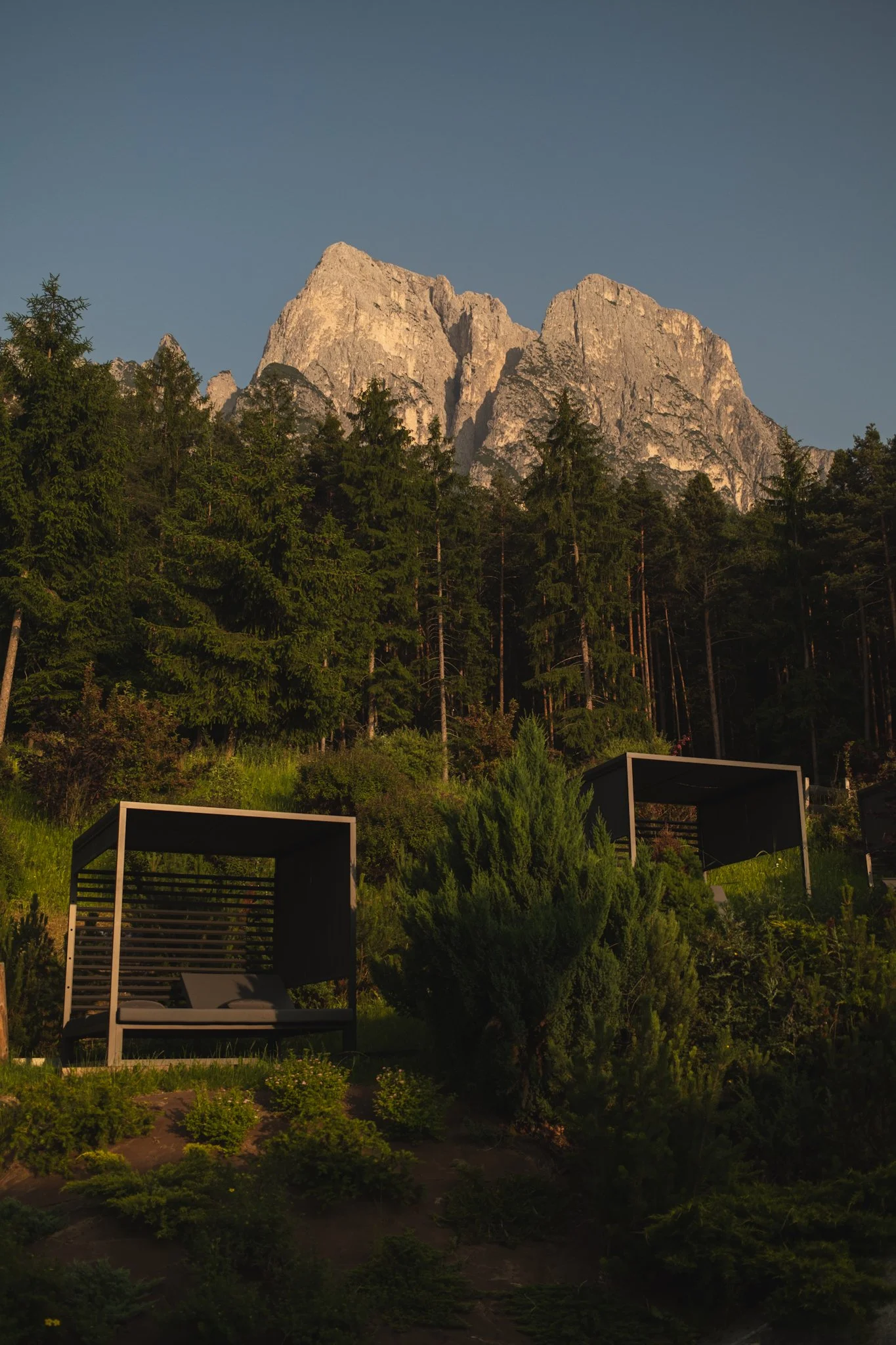 Photo Jun 12 2025, 10 29 09.jpg