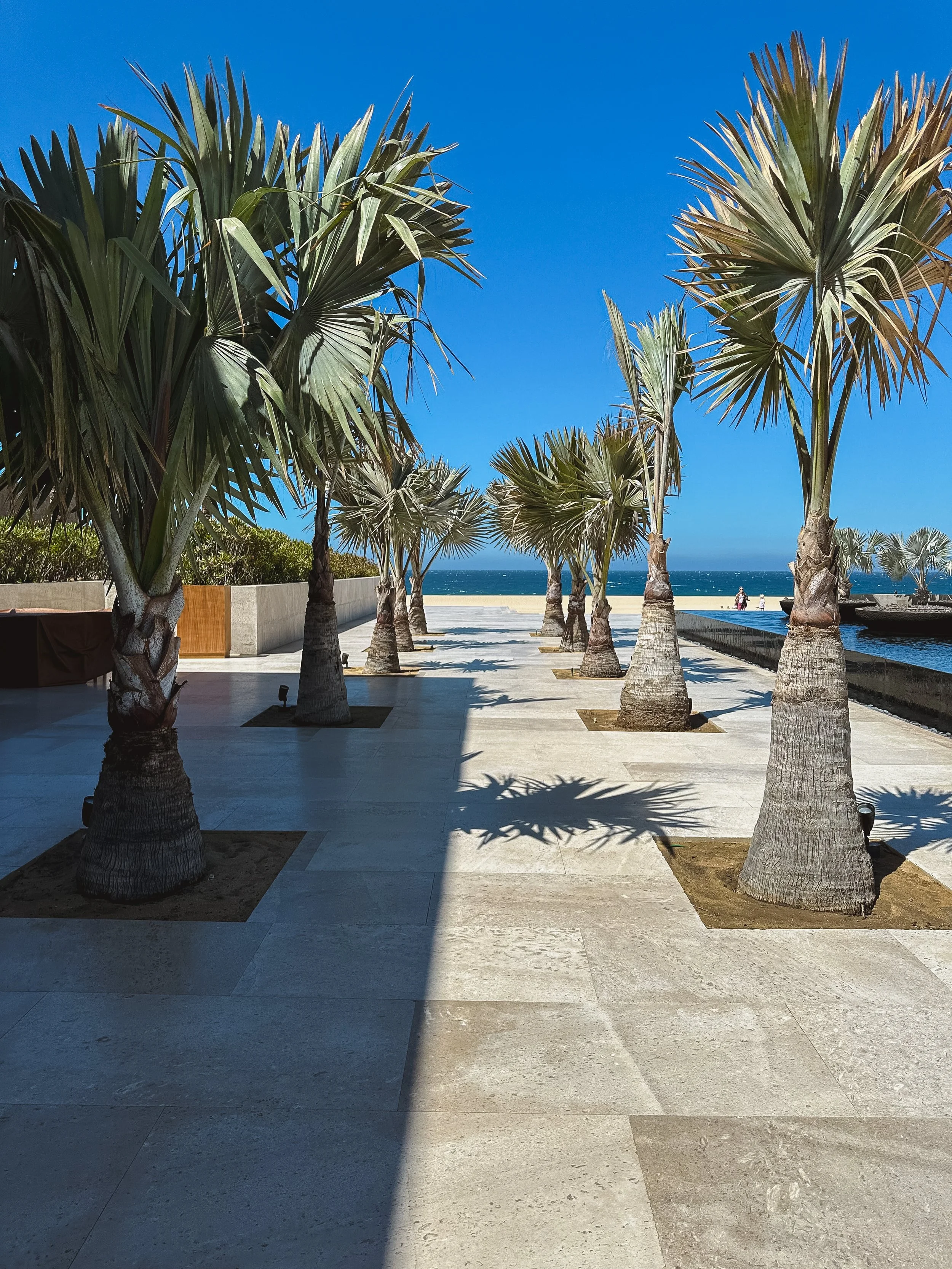 Photo May 22 2023, 10 11 08.jpg