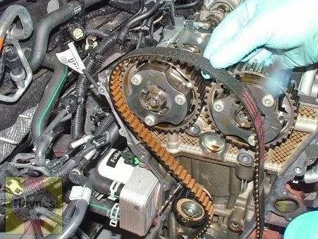 Ford EcoBlue wet belt inspection during engine repair