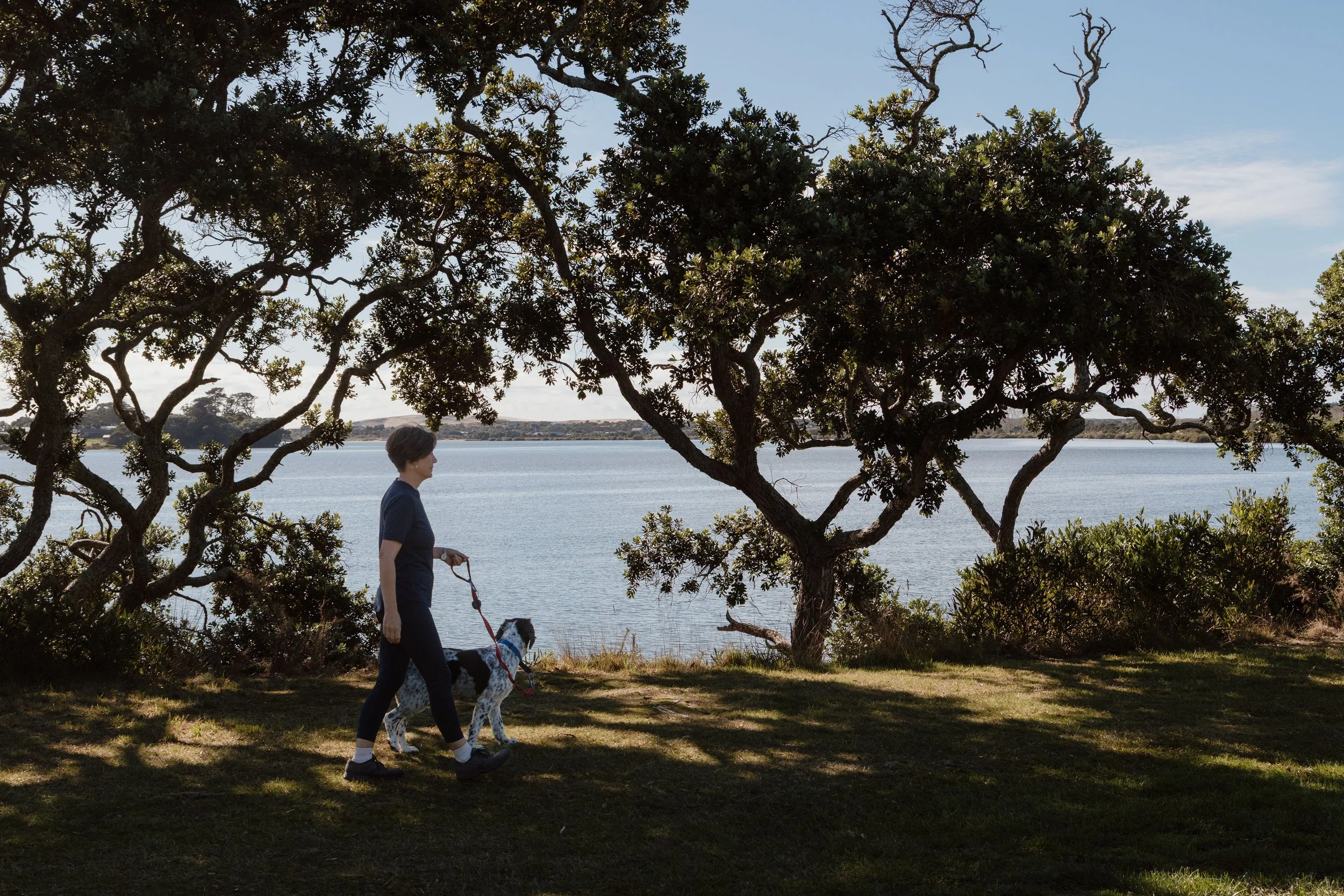 A woman walking her Dalmatian dog along a grassy area by the water with trees and a partly cloudy sky in the background.