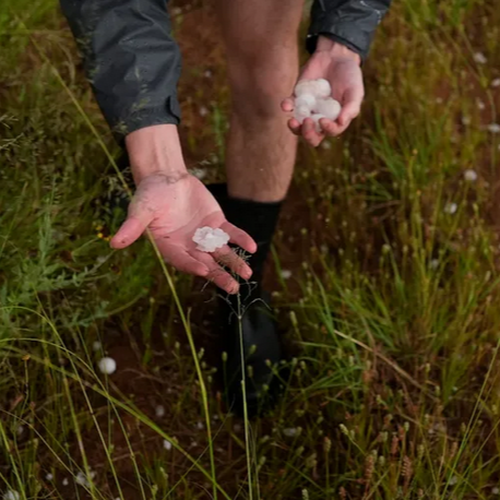 Person collecting hailstones in a grassy outdoor area.