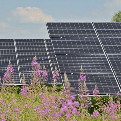 Multiple solar panels installed outdoors with purple wildflowers and a partly cloudy sky in the background.