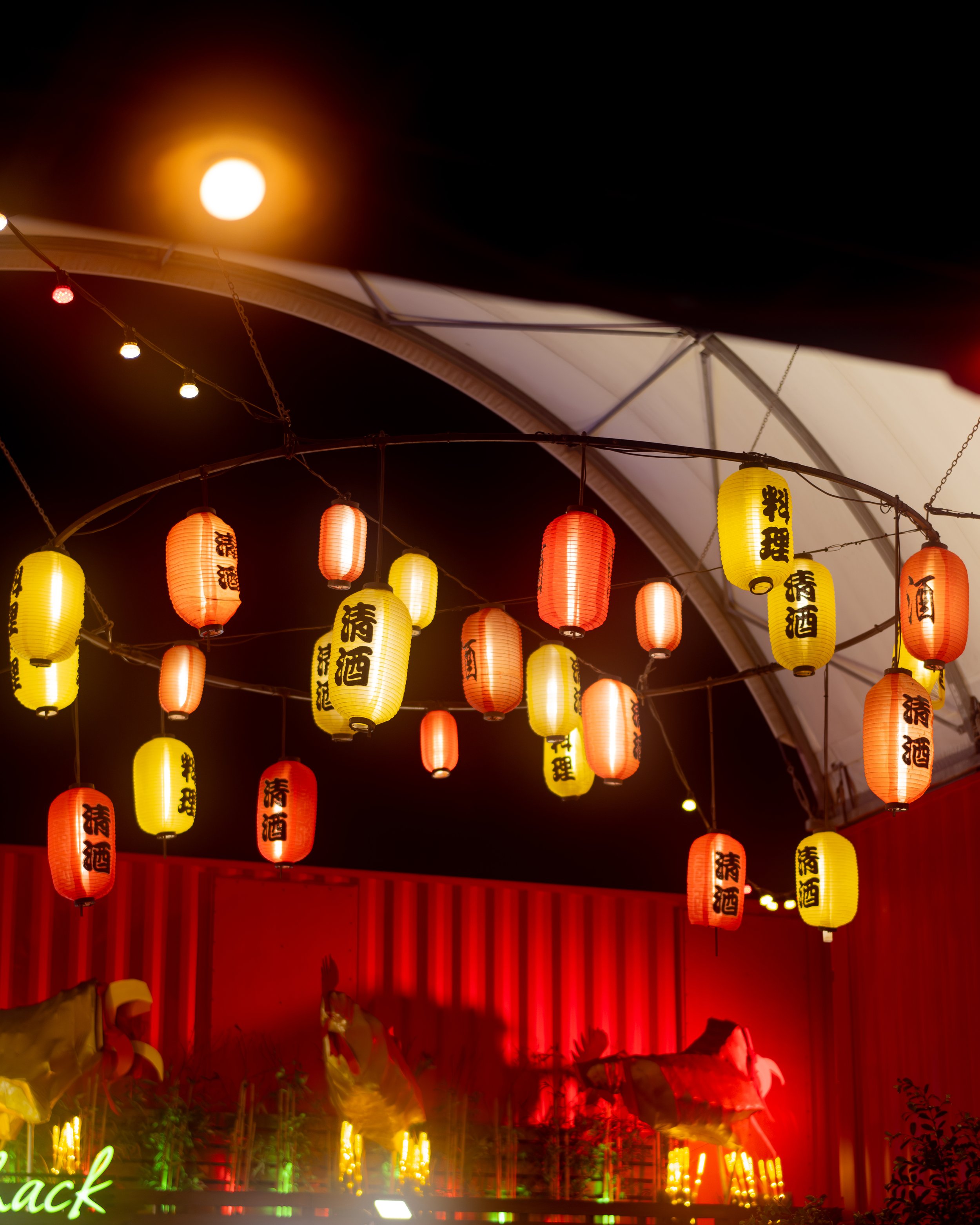 Colorful hanging lanterns at night, decorated for a festival or celebration, with a red and black backdrop and some illuminated plants or objects below.