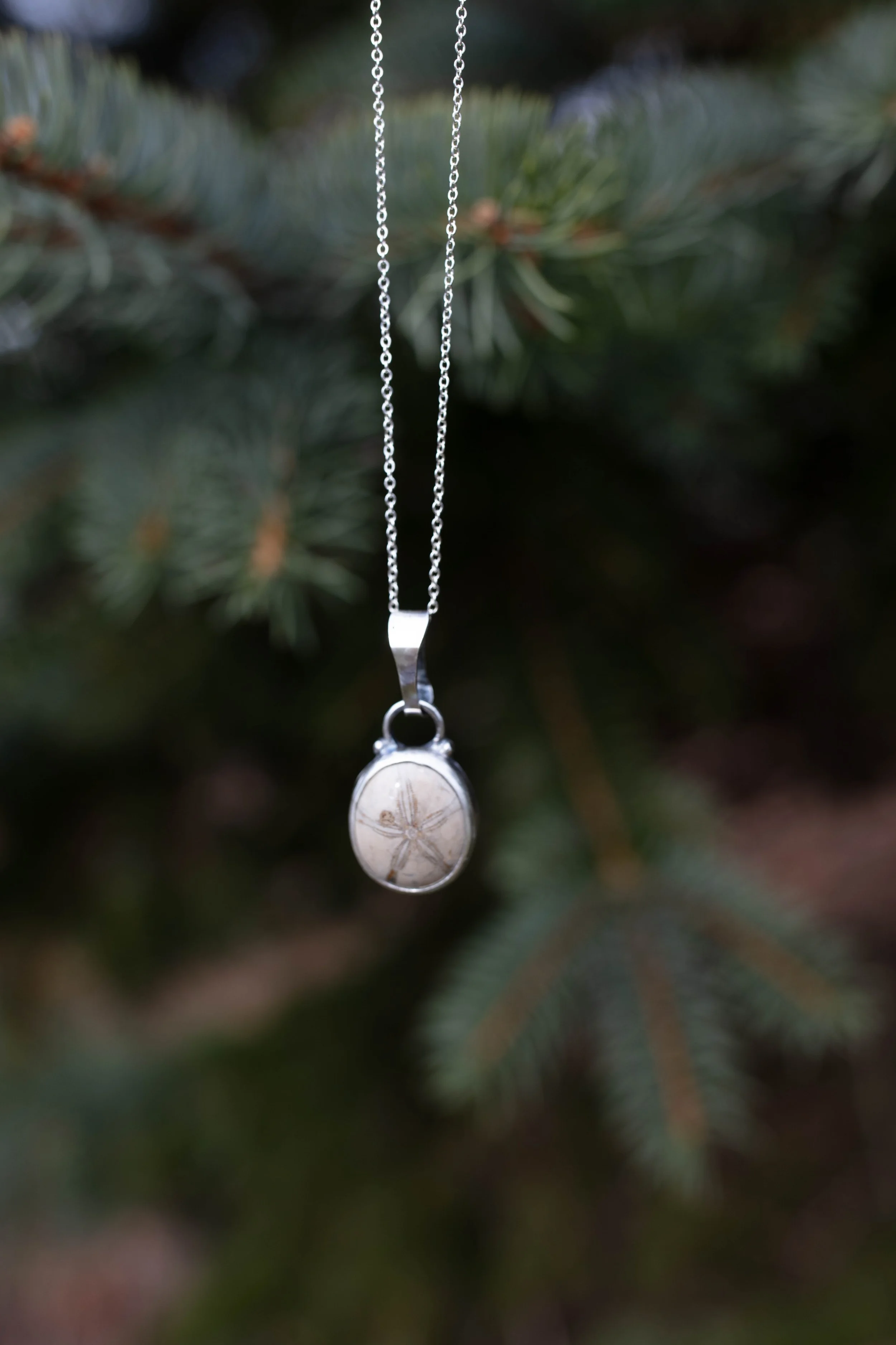 necklace fossilized sand dollar 1.jpg