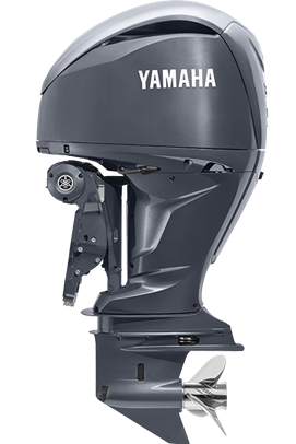 V6 4.2/4.3L 225-350 hp