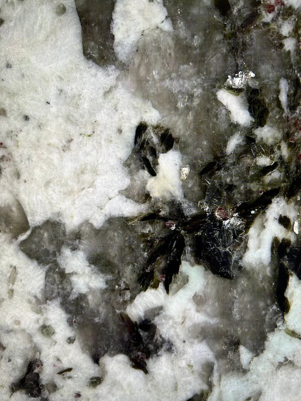 Adonis White Granite. Close-up of a natural stone surface with white, black, and gray textures.