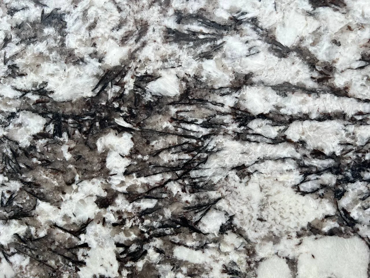 Delicatus White Granite. A Close-up of granite with white and black mineral patterns.