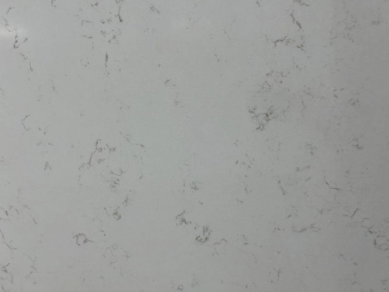 Carrara Roma Quartz. A Close-up view of a white marble surface with subtle gray veining.
