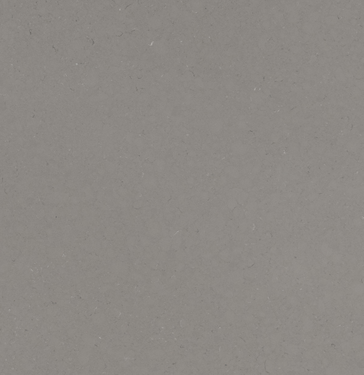 Fossil Grey Quartz. A Close-up of a textured gray stone surface