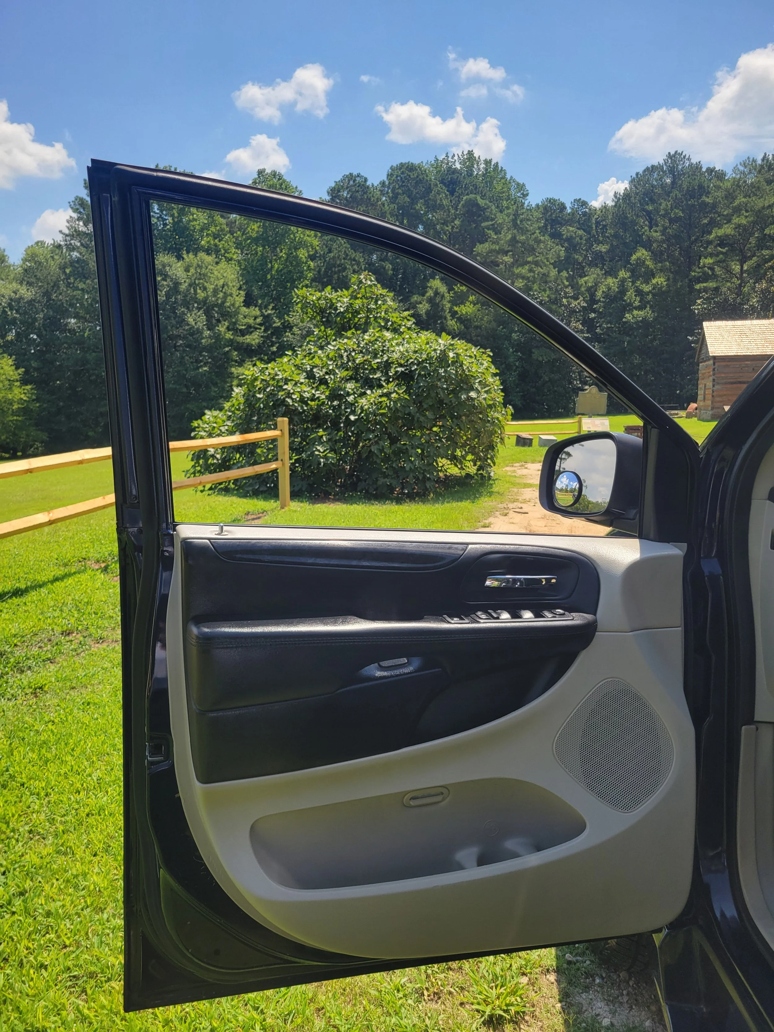 Open car door showing the interior panel with black and gray accents, a door handle, window controls, and a speaker grille with a grassy field and trees in the background under a blue sky with white clouds.