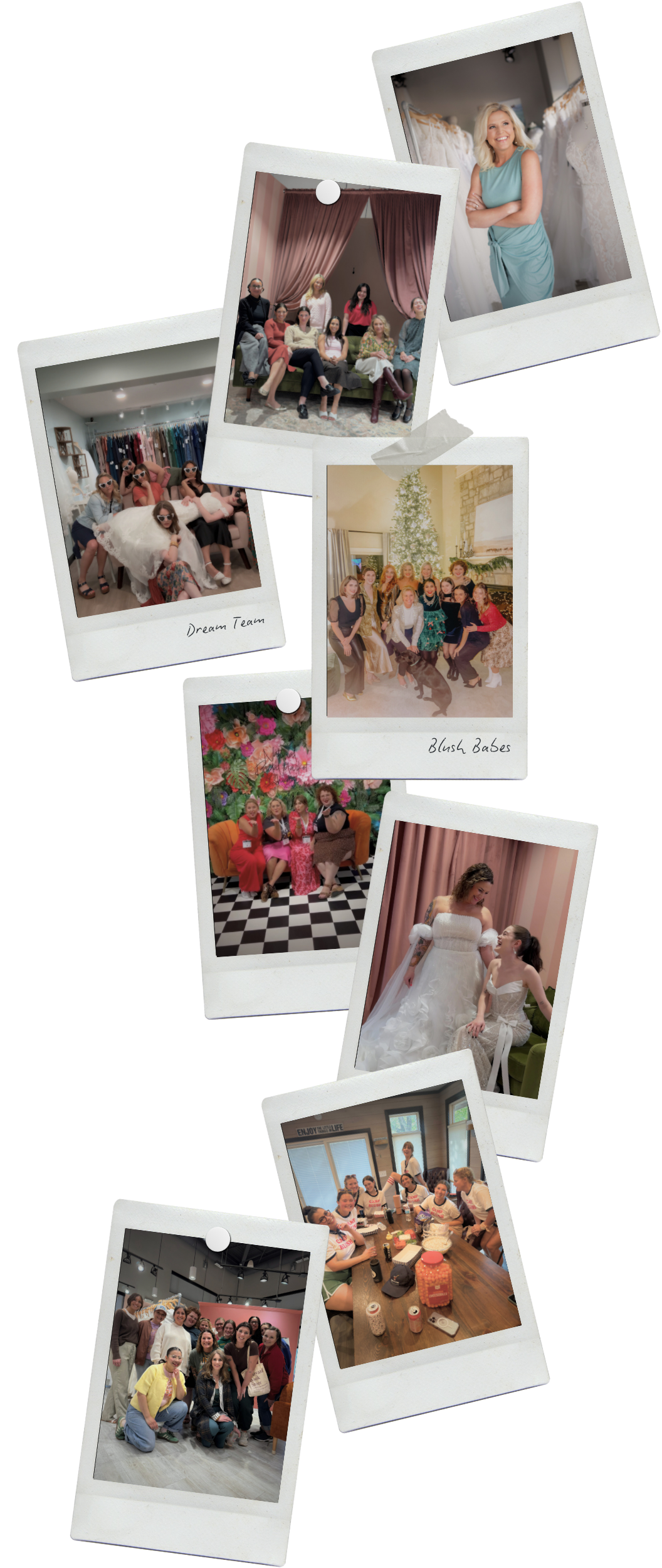 Collage of eight photos showing women at social gatherings, including a dress shopping group, women posing in sunglasses, a holiday party by a Christmas tree, and a wedding dress shopping scene.