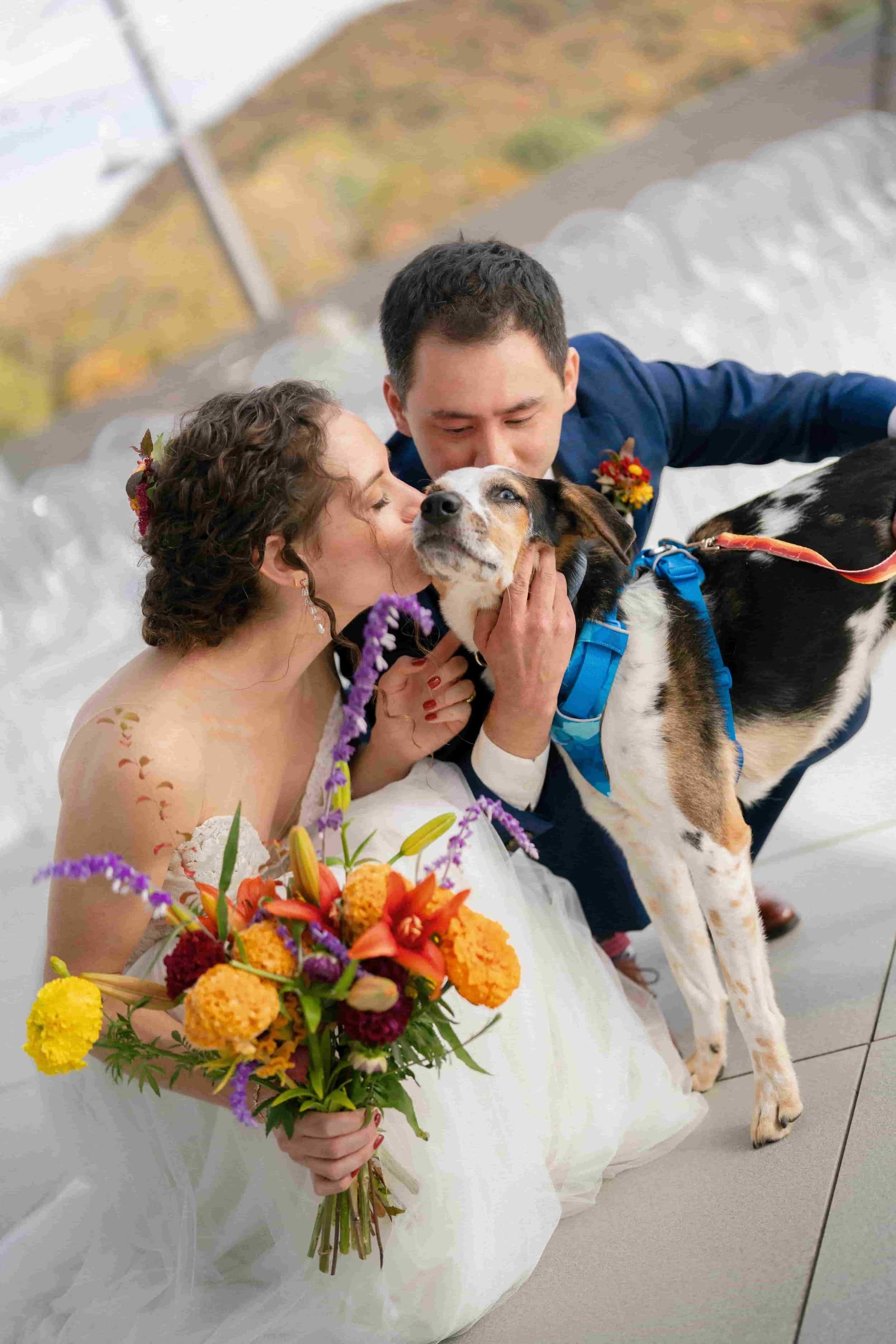 Bride and groom kissing their dog during a wedding ceremony.