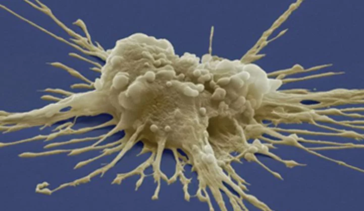 Exosomes: The Regenerative Messengers Driving the Future of Medicine