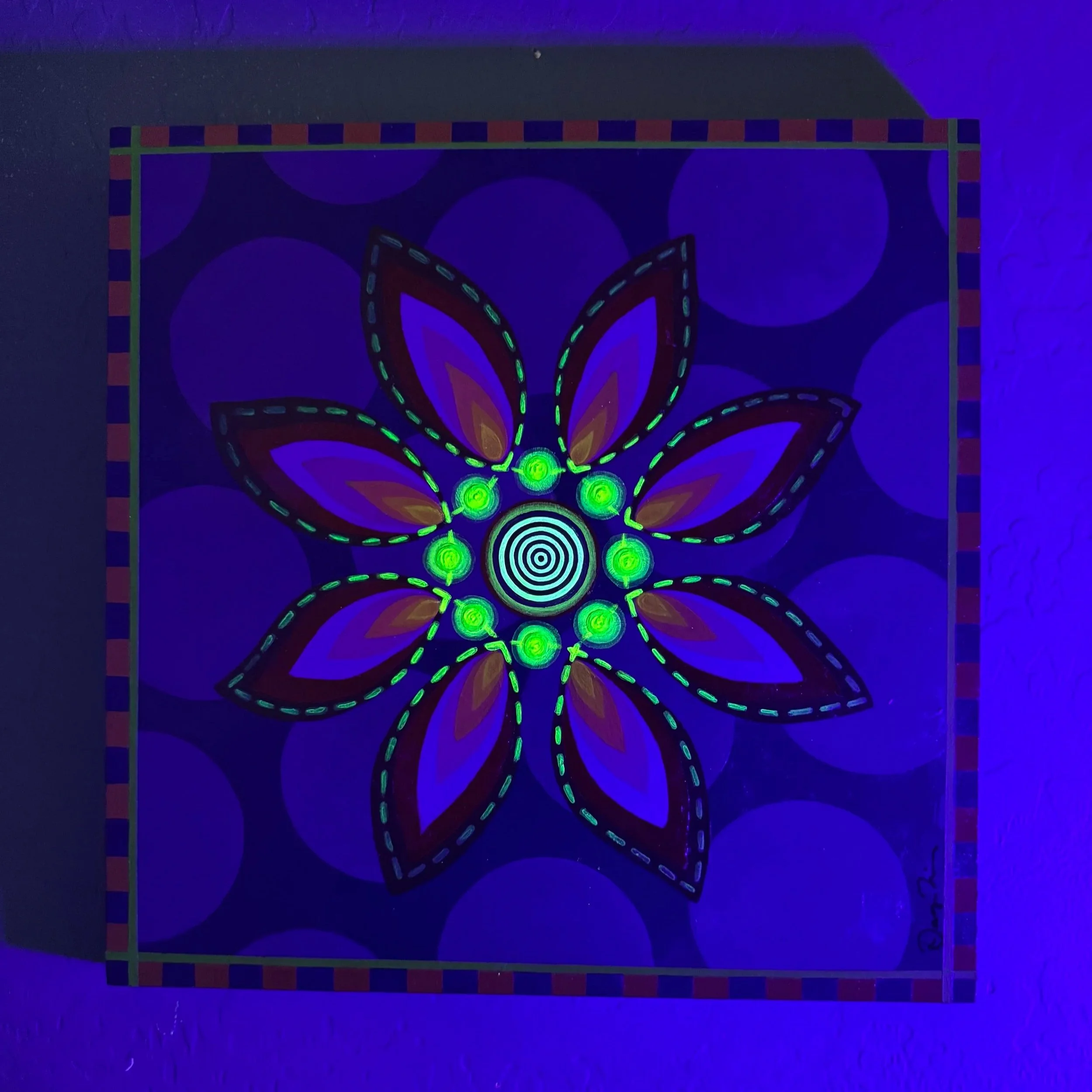 electric+daisy+firefly+3+of+3+blacklight.jpg