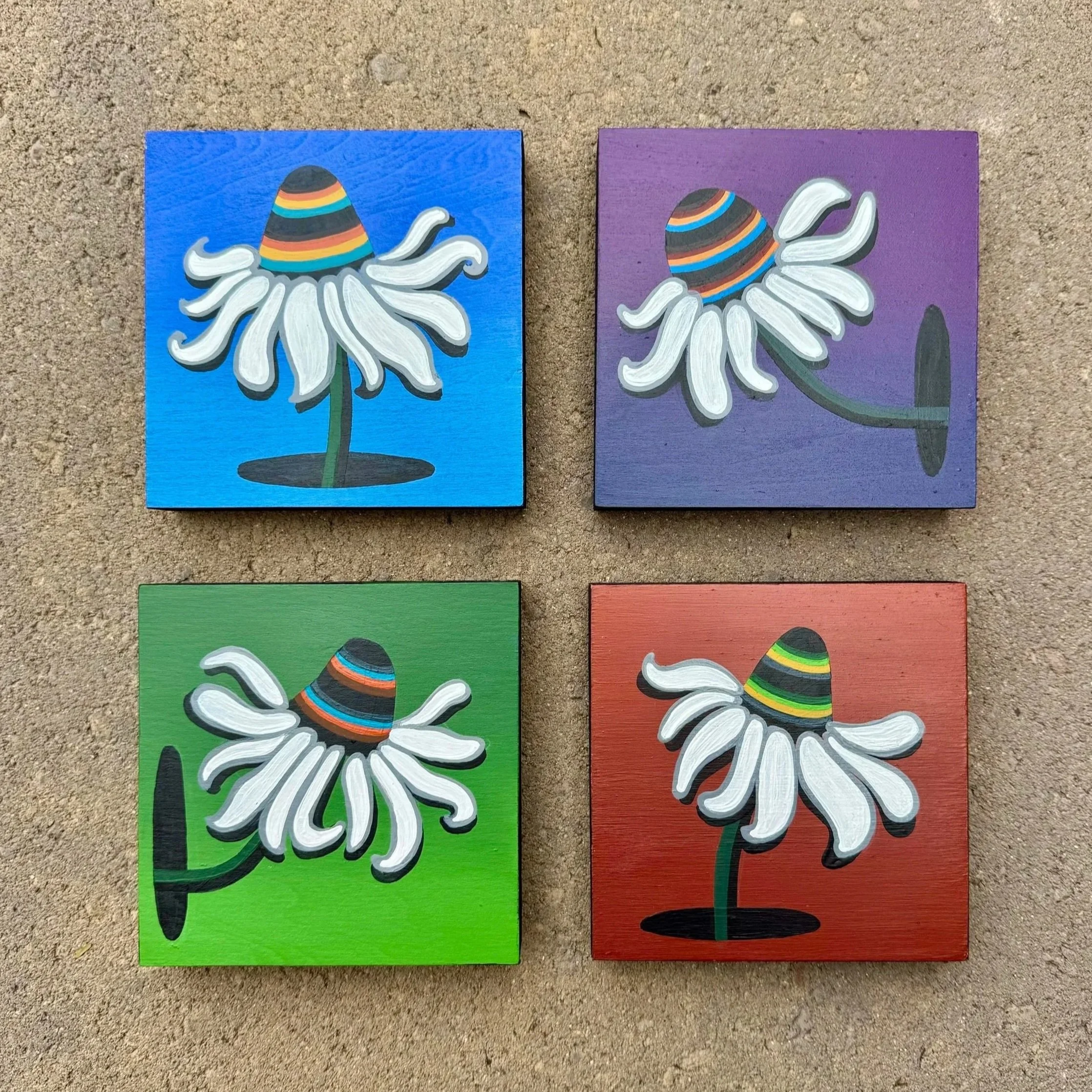 lil%2Bconeflower%2Bbbs%2B1%2Bof%2B1.jpg