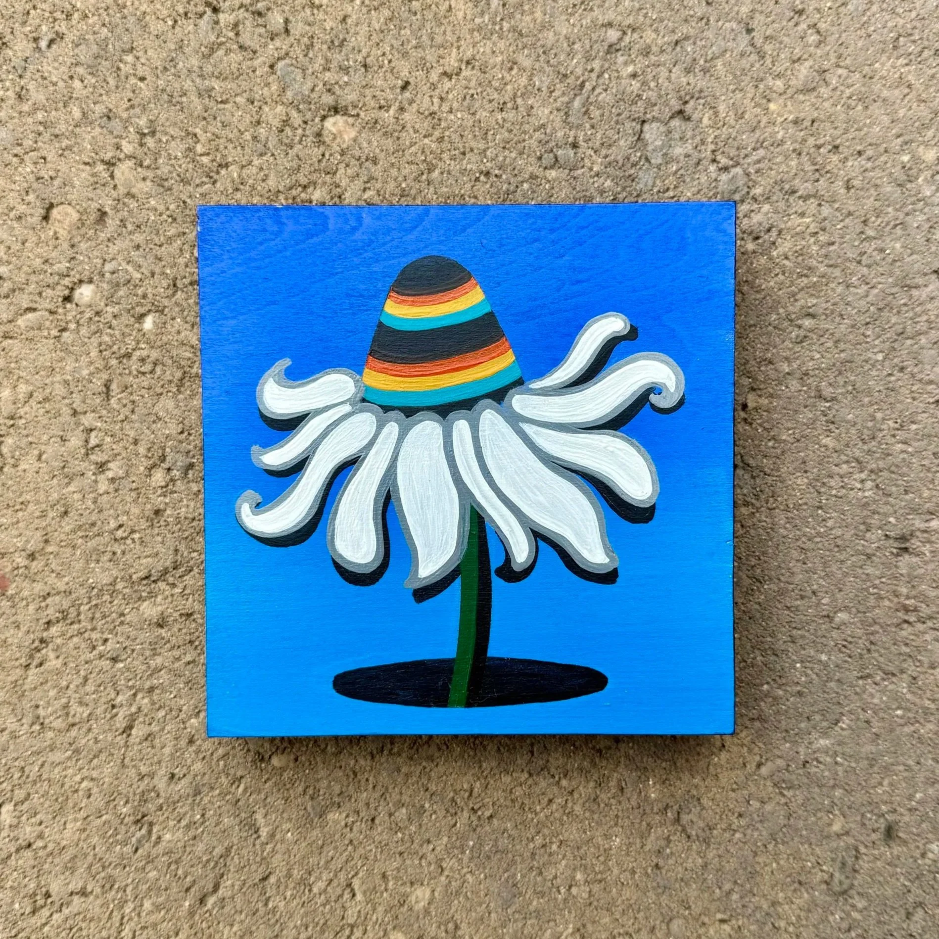 blue+coneflower+bb.jpg