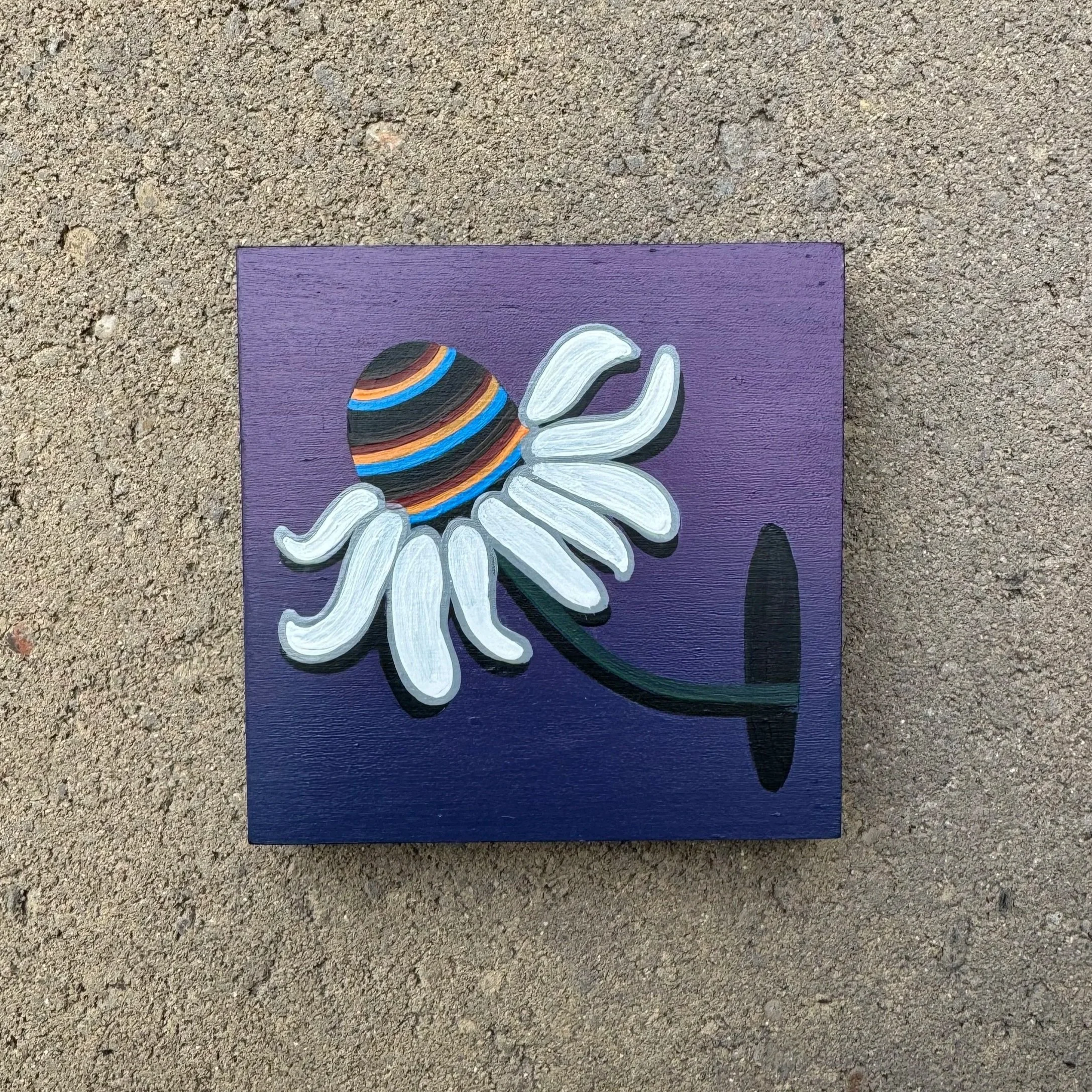 purple+coneflower+bb.jpg