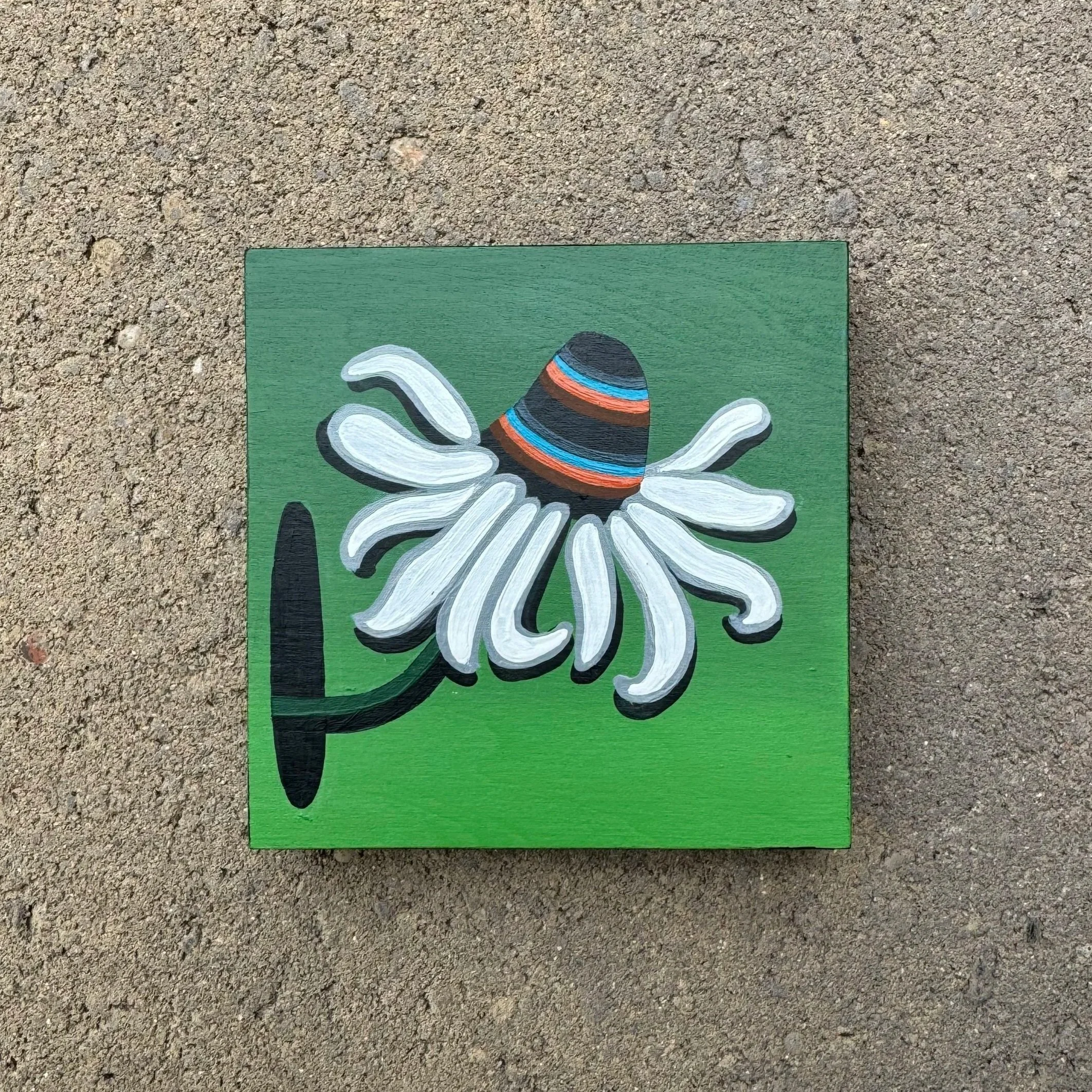 green+coneflower+bb+.jpg