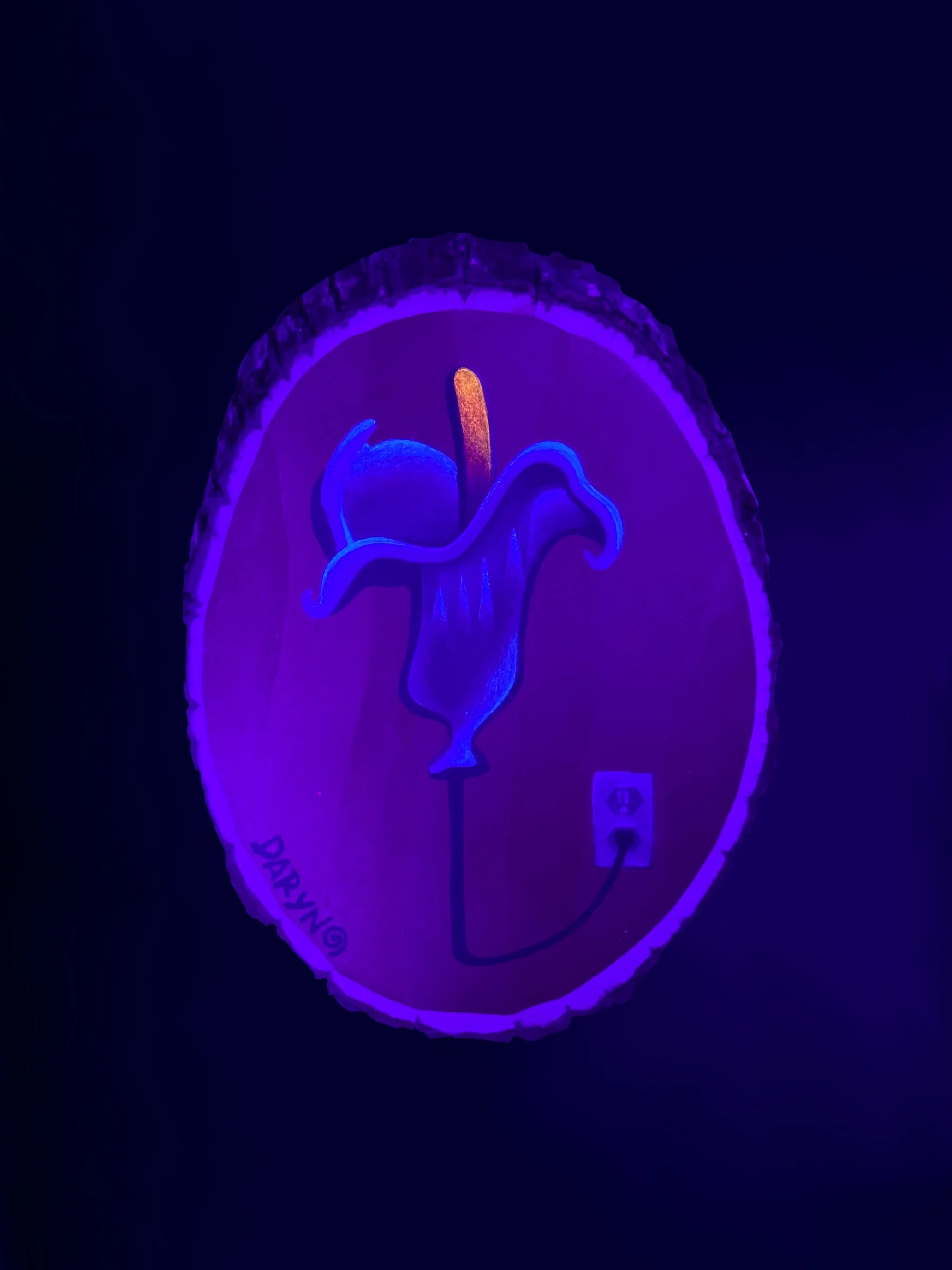 plugged in 4 of 4 blacklight.jpg