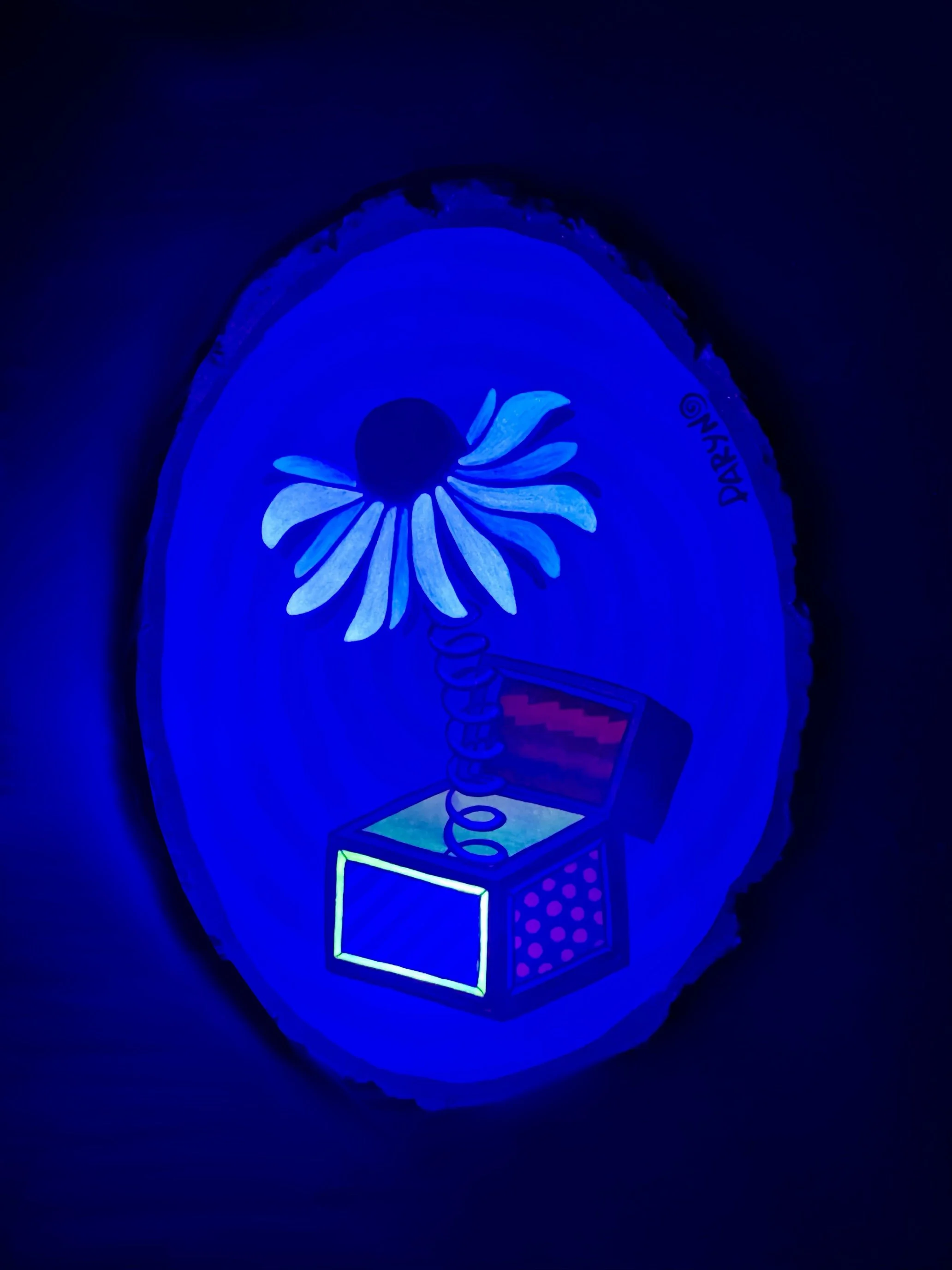 bloom in the box blacklight.jpg