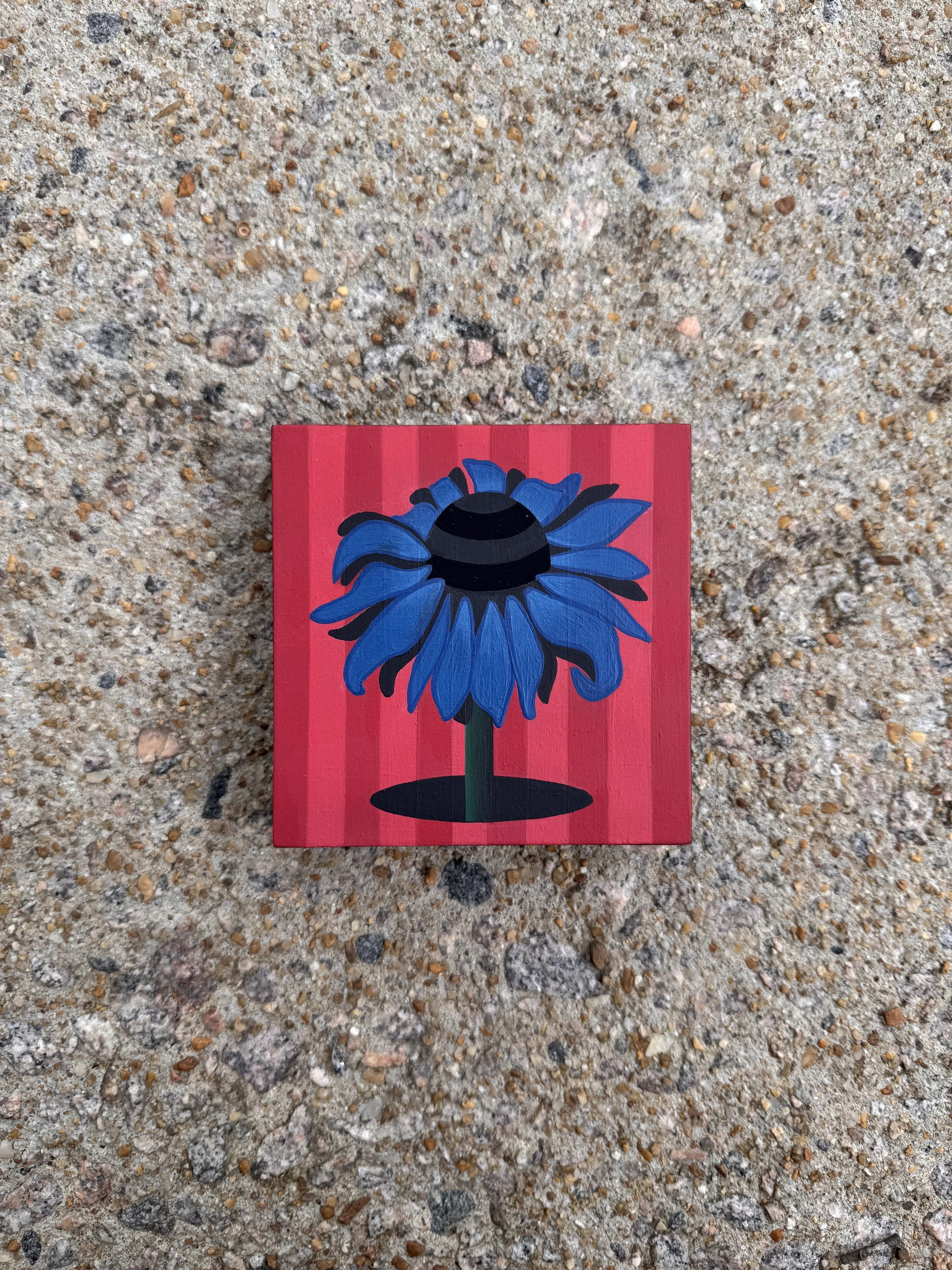 blue conie front.jpeg