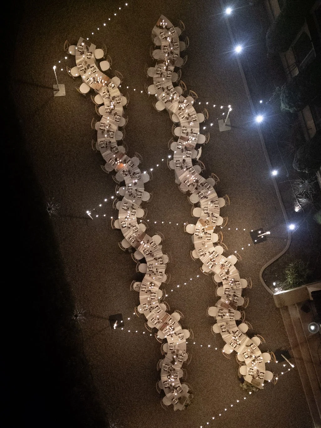 Emily Bridgman Photography 