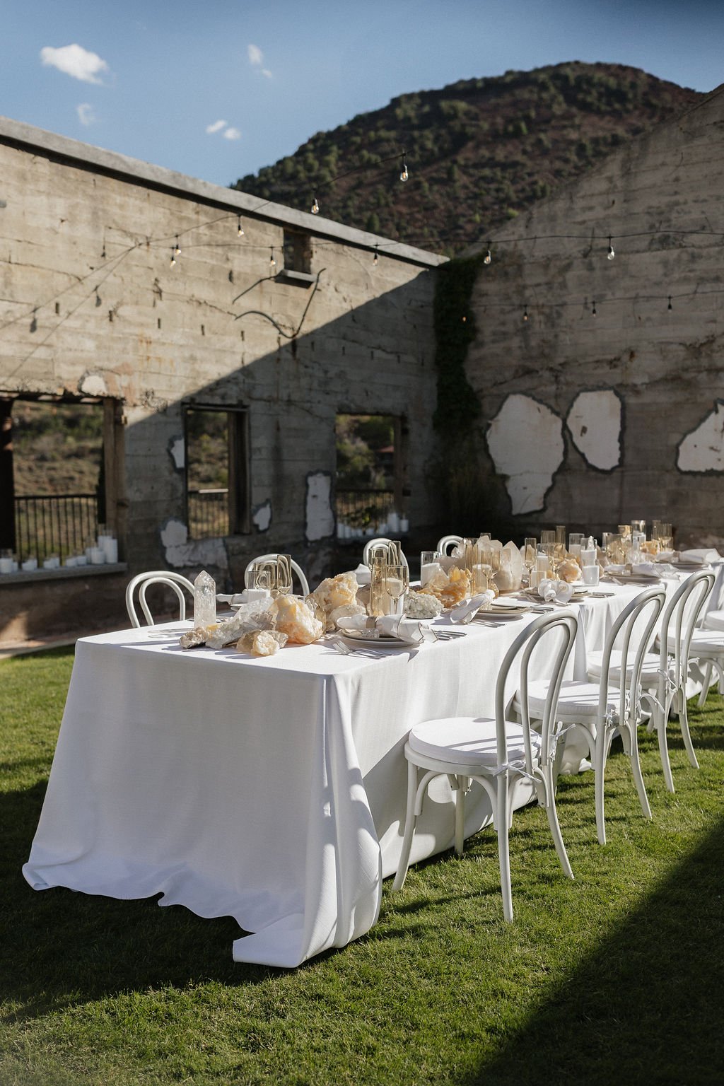 Cactus & Vine Photography