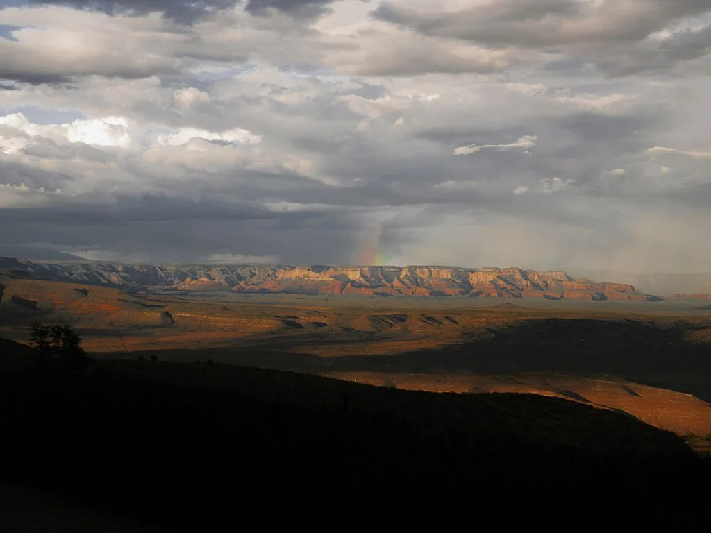 Emily Bridgman Photography