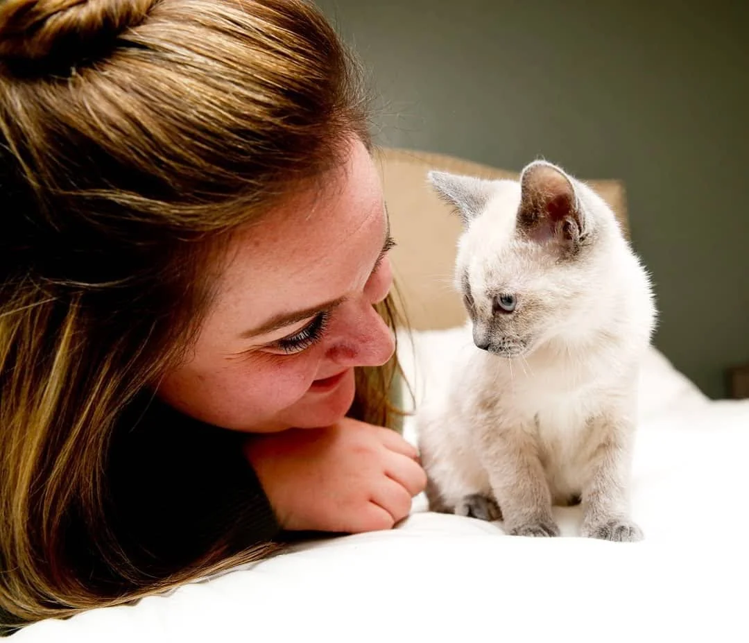 A woman is lying on a bed smiling at a small Siamese kitten sitting on the bed. The woman has reddish-brown hair and the kitten has cream-colored fur with darker points and blue eyes.