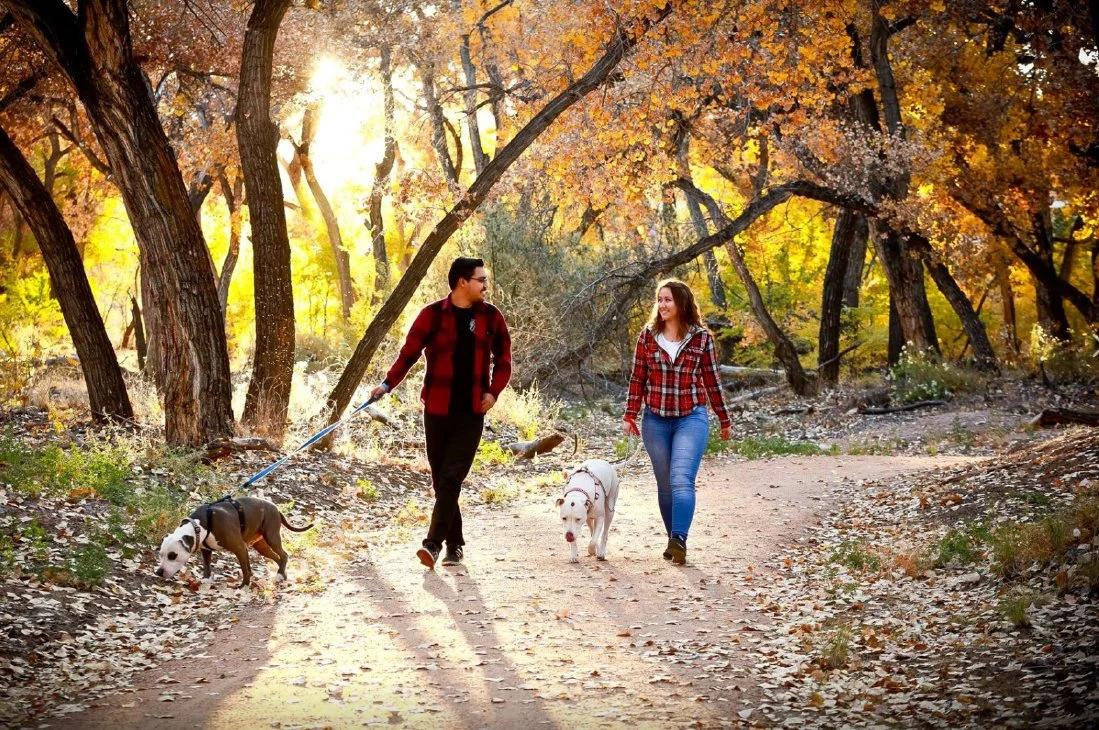 A young man and woman walking dogs on a forest trail during autumn, with colorful fall foliage and sunlight filtering through the trees.