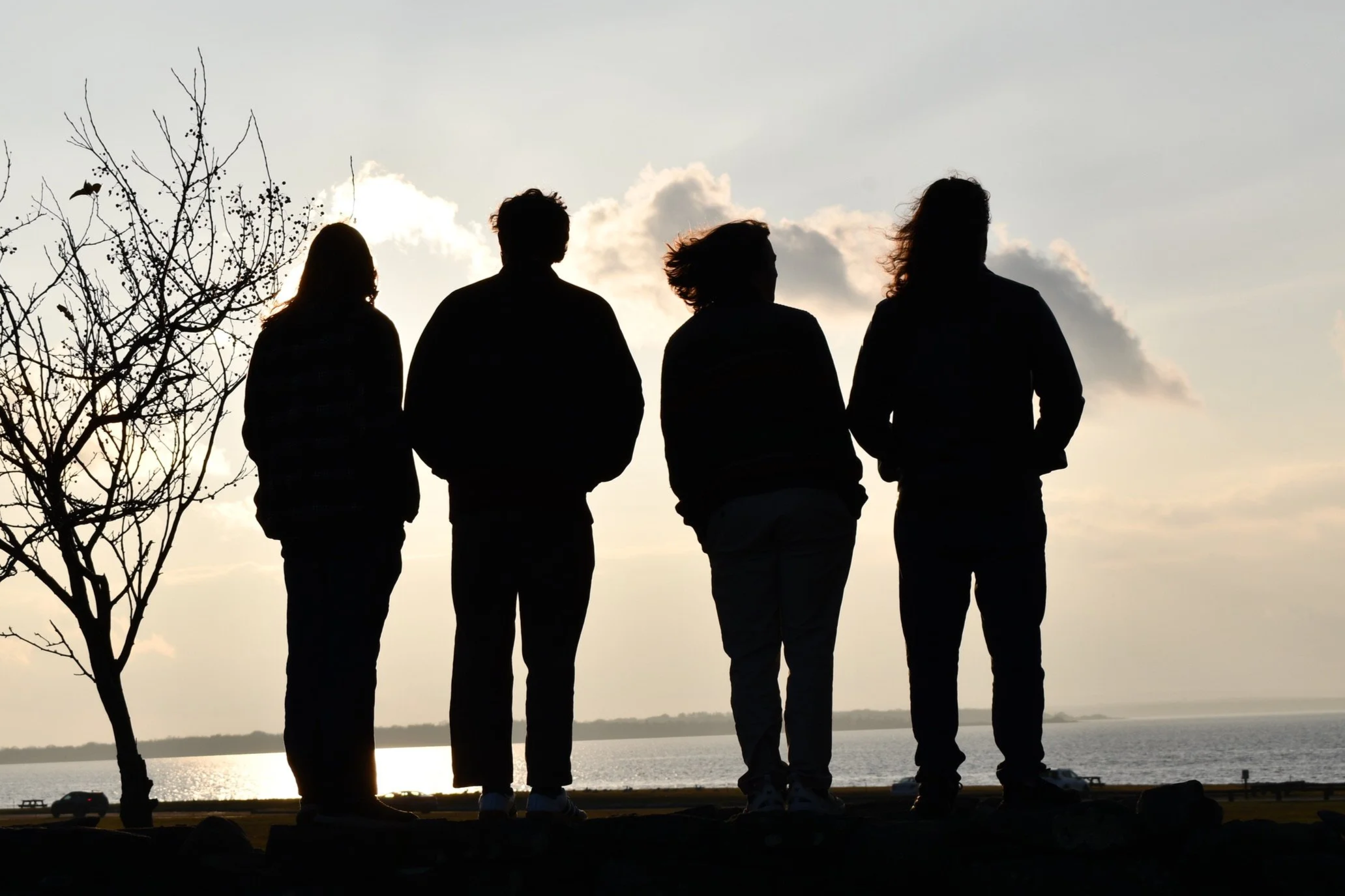 Silhouettes of Maintenance standing near a tree by a body of water during sunset.