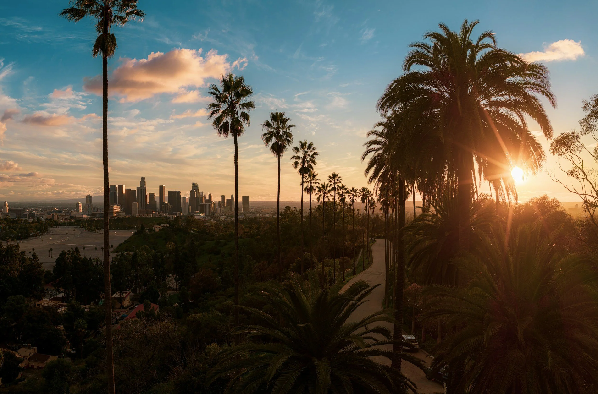 Sunset or sunrise over a city skyline with tall palm trees in the foreground and a paved road winding through a residential area.
